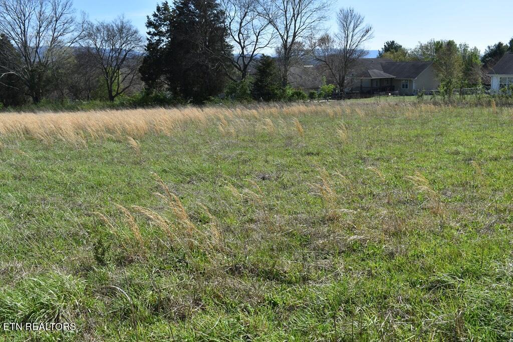 Lot 16 Temple Road Seymour, TN 37865 - Photo 3 of 3 Image 9-28-23 at 12.18 PM (2)