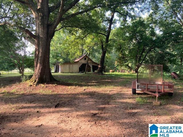 5231 Bluff Valley Road Ashland, AL 36251 - Photo 3 of 20