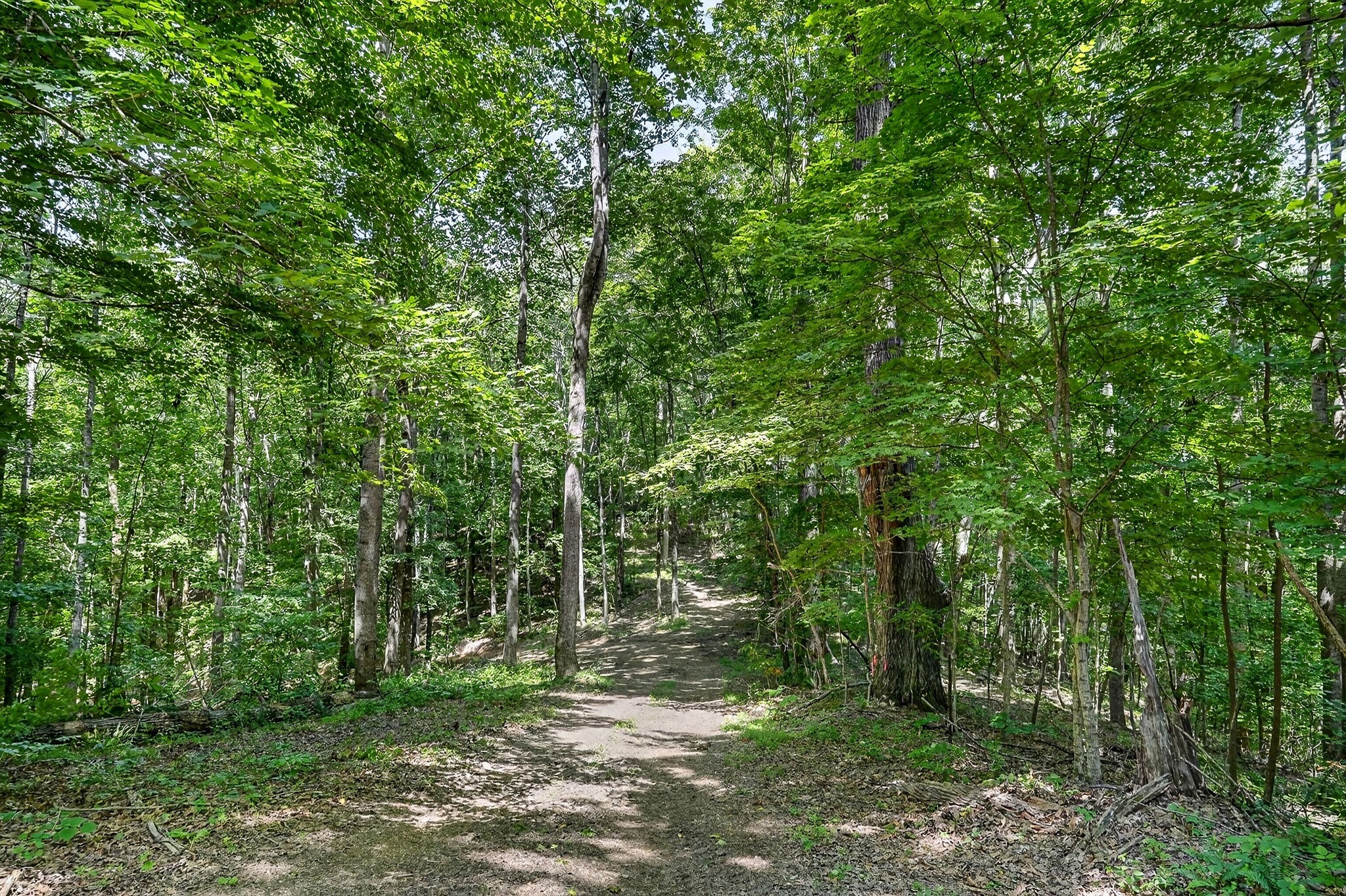 2926 Bryant Ridge Road Baxter, TN 38544 - Photo 8 of 64