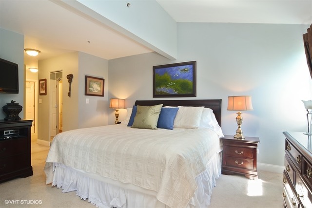 760 Weidner Road, Unit 304 Buffalo Grove, IL 60089 - Photo 6 of 11