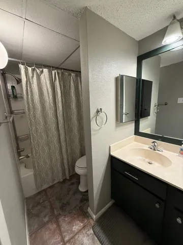 a bathroom with a sink a toilet a mirror and shower