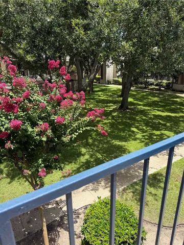 a front view of a garden