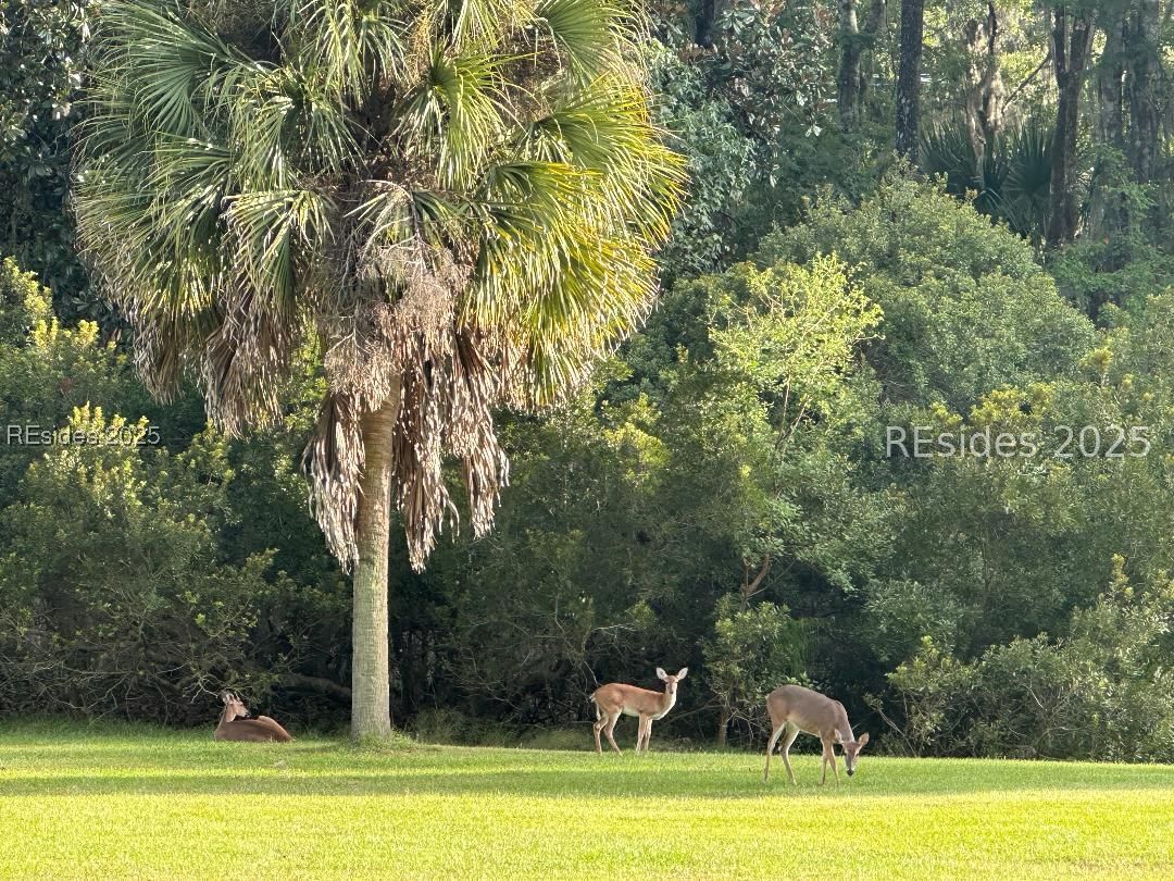 237 Club Gate Bluffton, SC 29910 - Photo 18 of 26