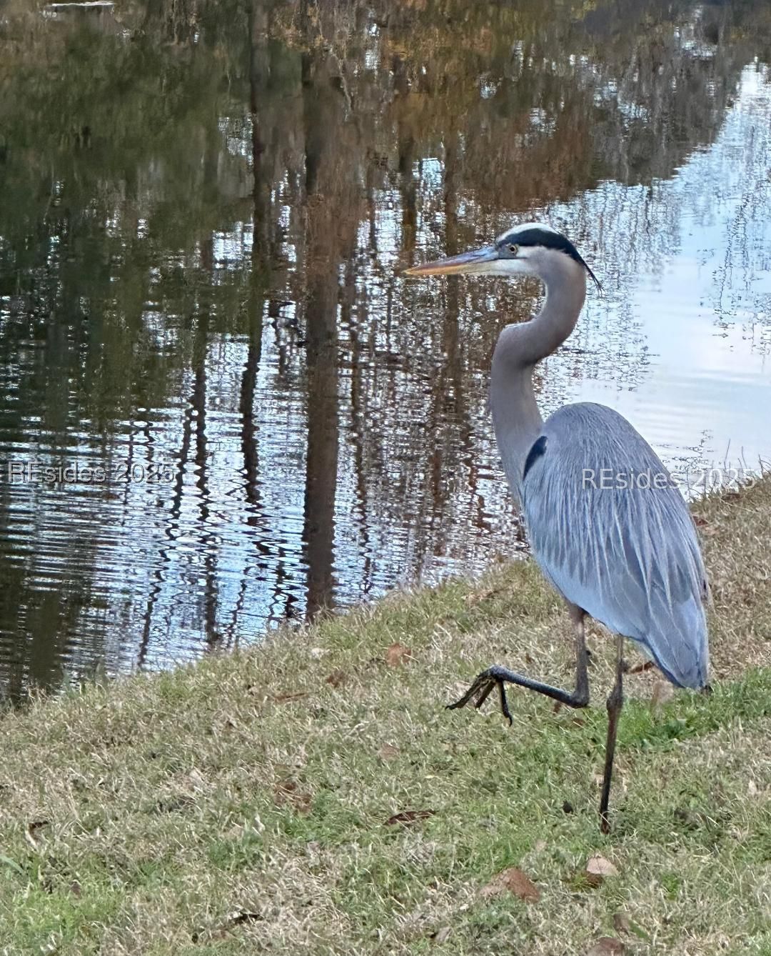 237 Club Gate Bluffton, SC 29910 - Photo 21 of 26