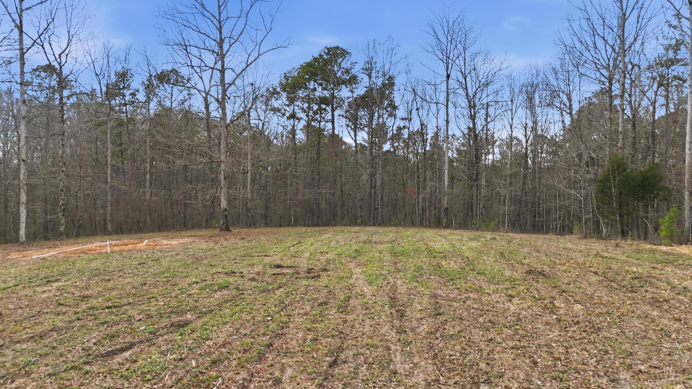 Harbor Loop Jasper, AL 35504 - Photo 1 of 17 Harbor_015_(2400)