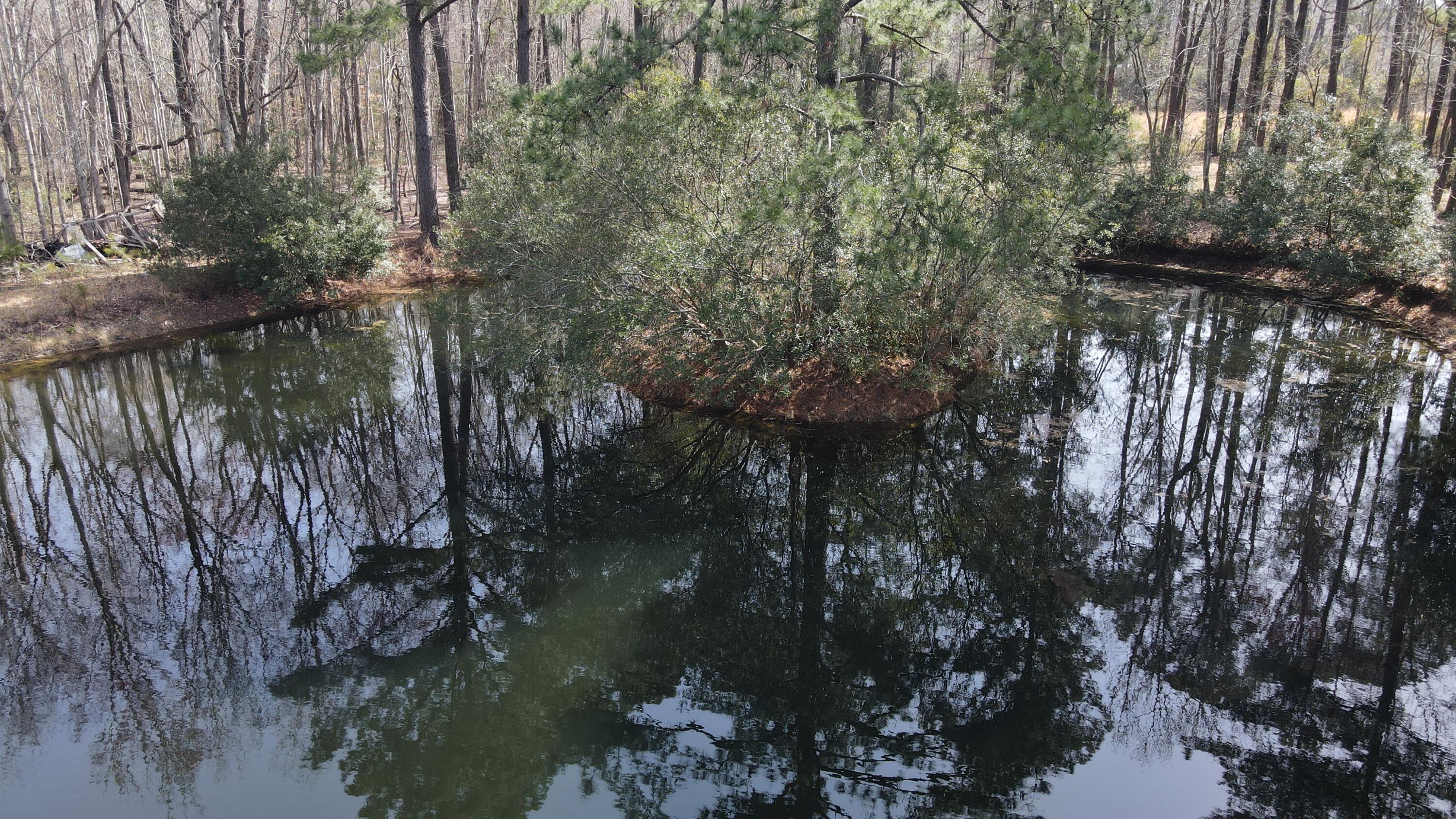 3586 Kitford Road Johns Island, SC 29455 - Photo 29 of 33 Gallery Image 29
