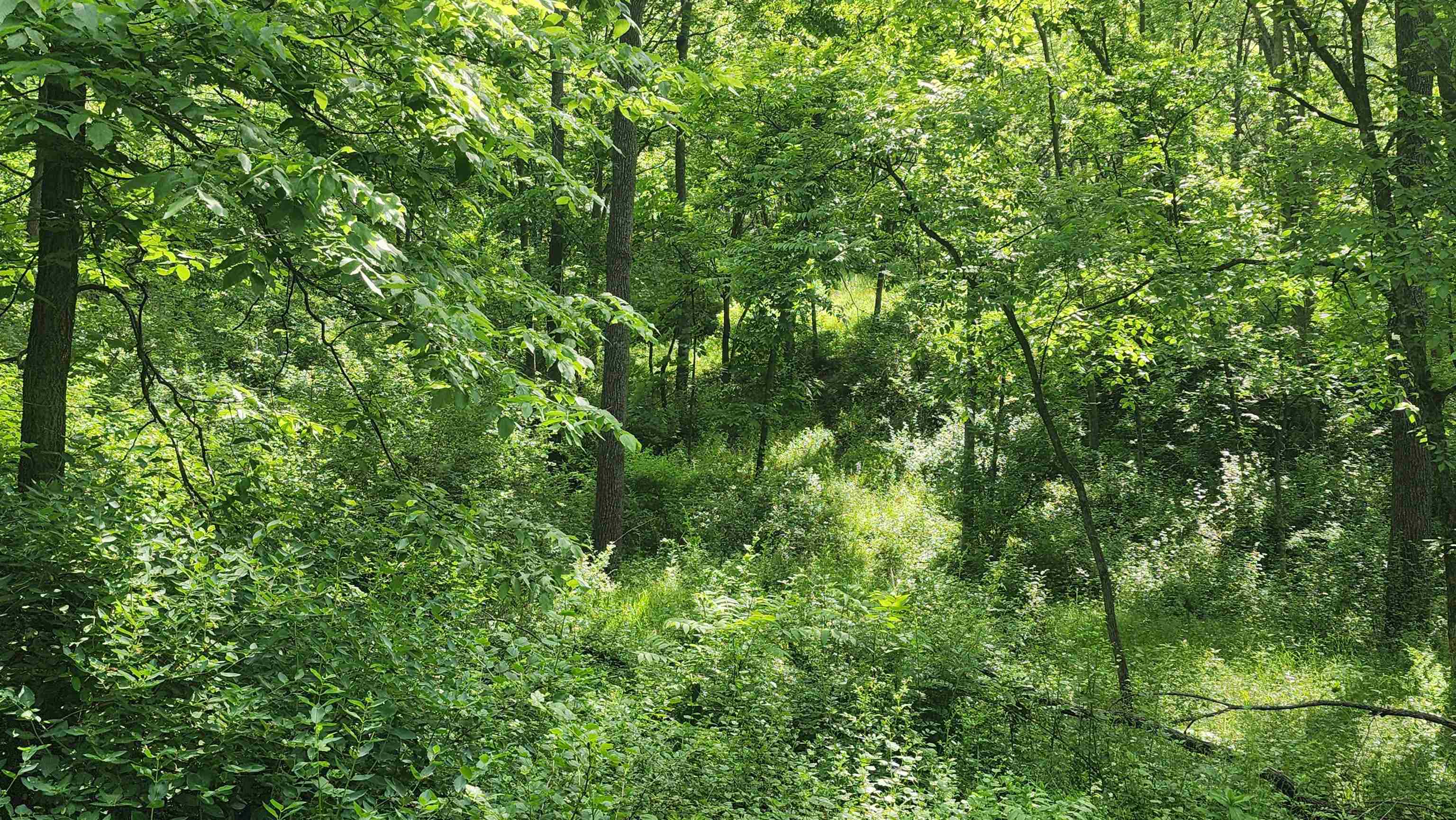 0 Shortcut Seneca, WI 54654 - Photo 19 of 22