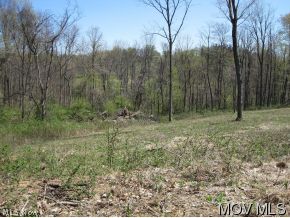 Lot 1 Warren Chapel Road Fleming, OH 45729 - Photo 2 of 5 Gallery Image 2