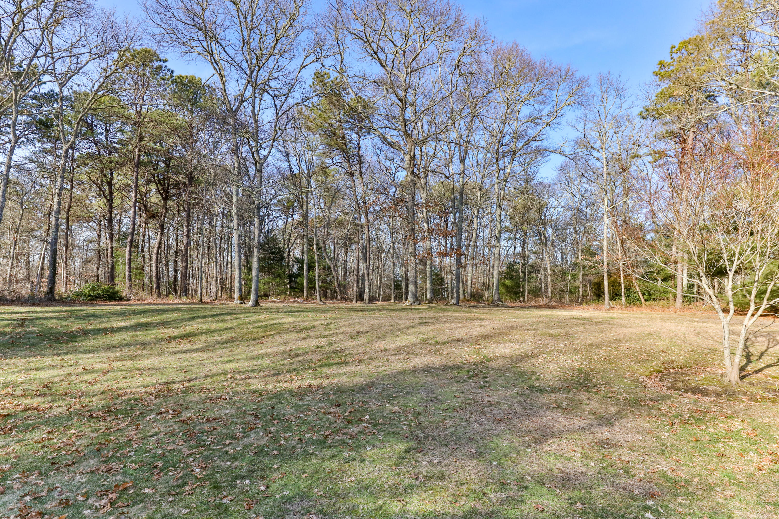 120 Asa Meigs Road Marstons Mills, MA 02648 - Photo 33 of 38 120AvaLR-39