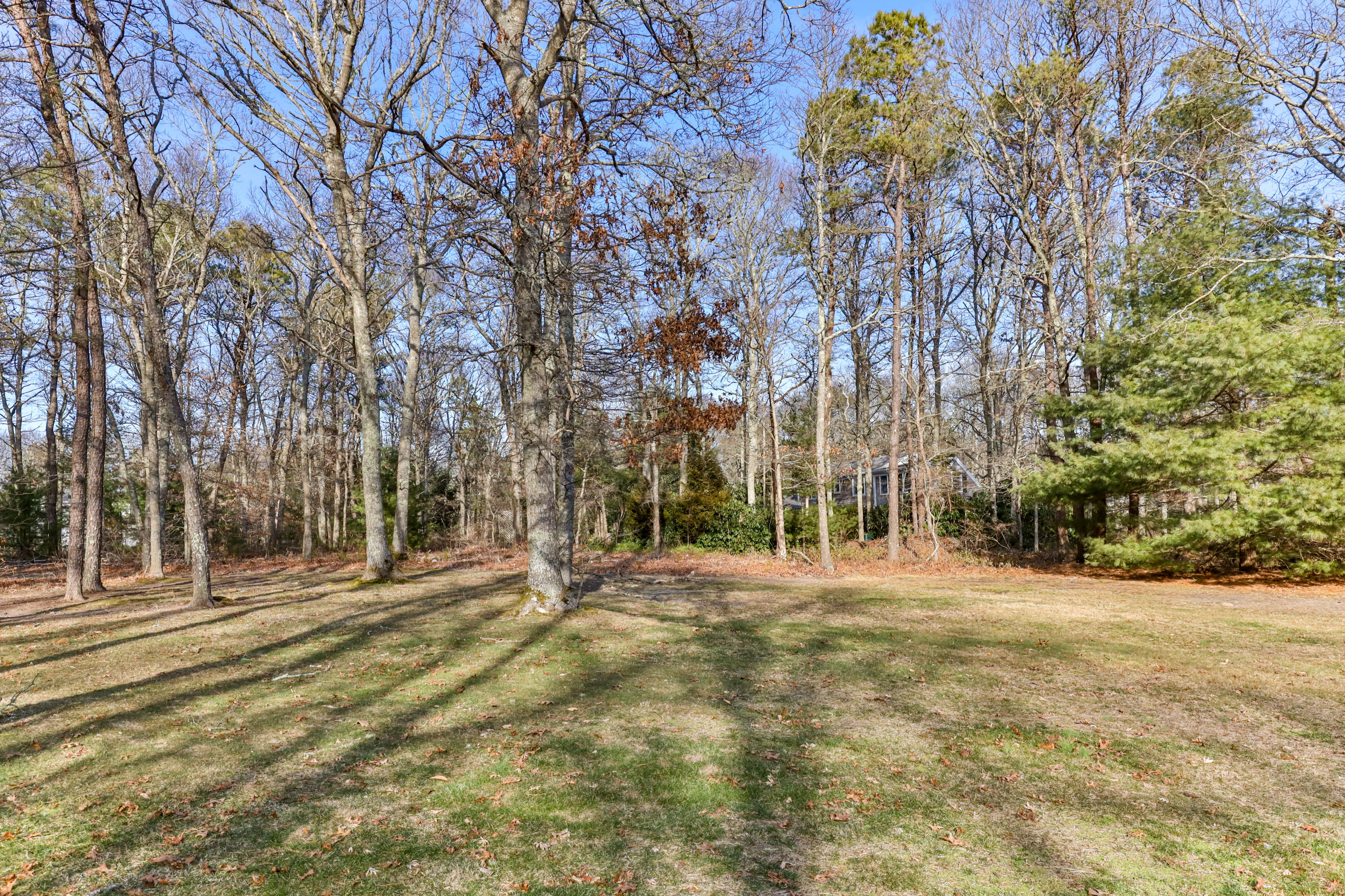120 Asa Meigs Road Marstons Mills, MA 02648 - Photo 34 of 38 120AvaLR-40