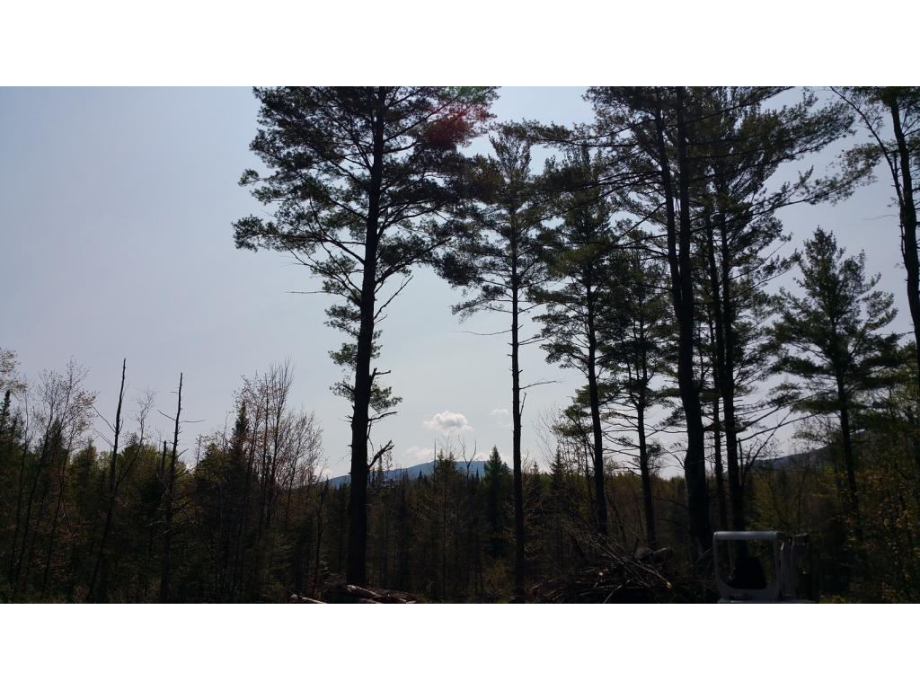Lot 16.2 Wells Road Franconia, NH 03580 - Photo 11 of 14