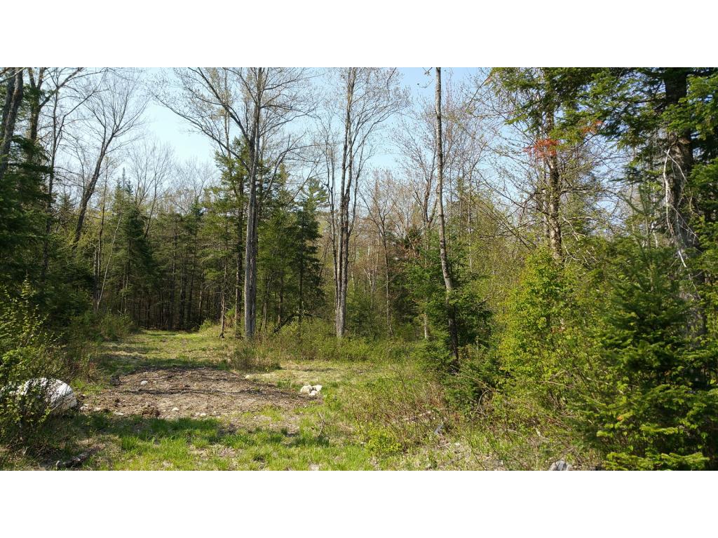 Lot 16.2 Wells Road Franconia, NH 03580 - Photo 13 of 14