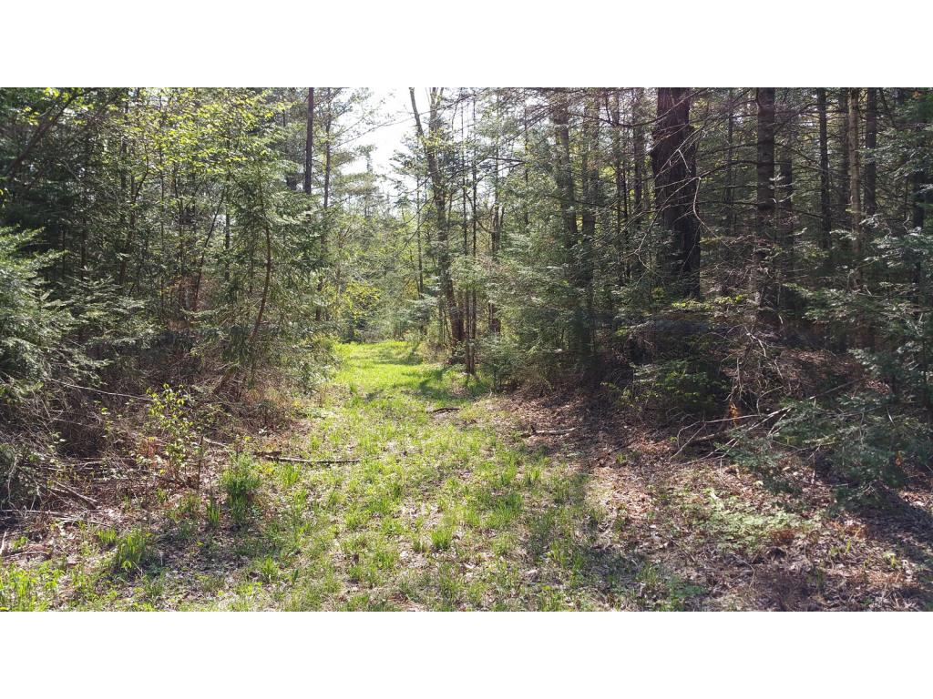 Lot 16.2 Wells Road Franconia, NH 03580 - Photo 14 of 14