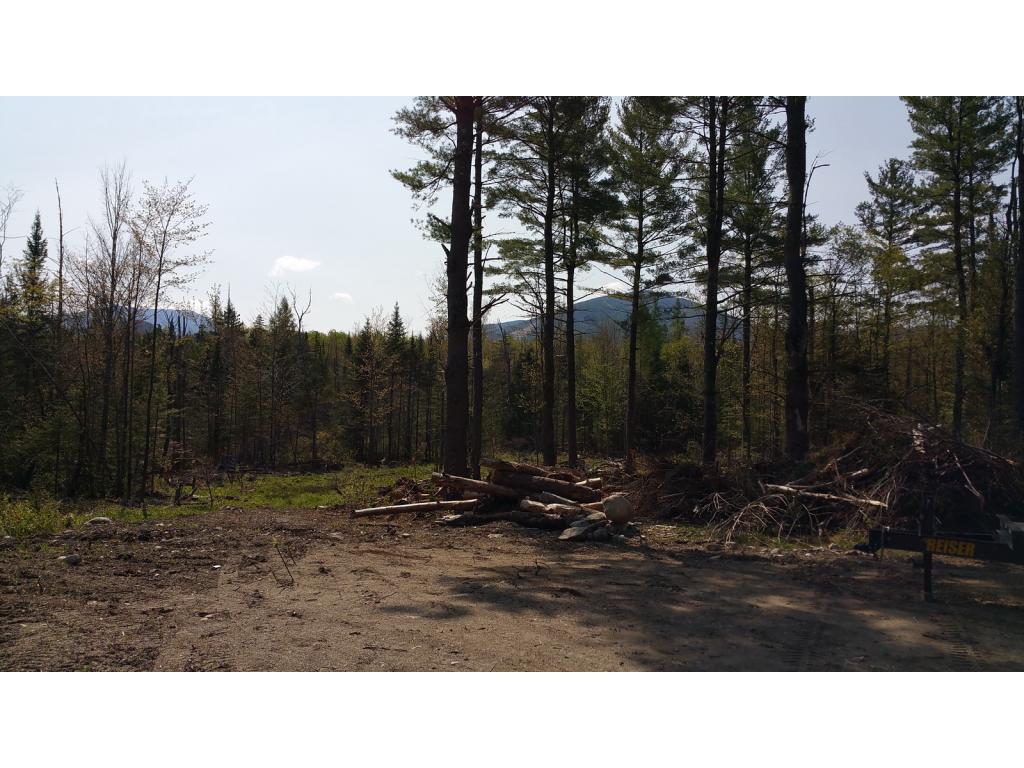 Lot 16.2 Wells Road Franconia, NH 03580 - Photo 10 of 14