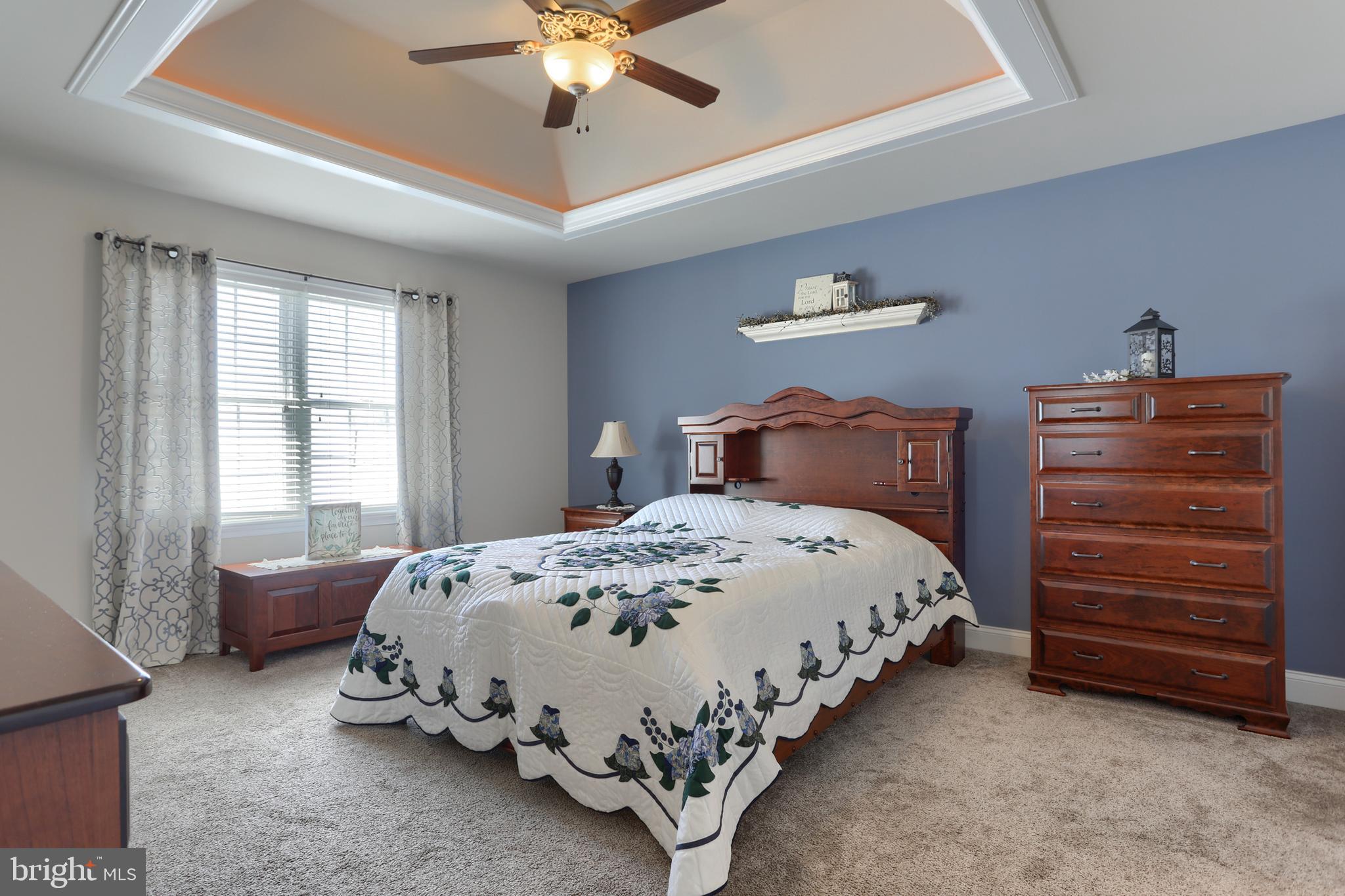 2037 South Forge Road Palmyra, PA 17078 - Photo 20 of 46 Master Bedroom w/lighted tray ceiling