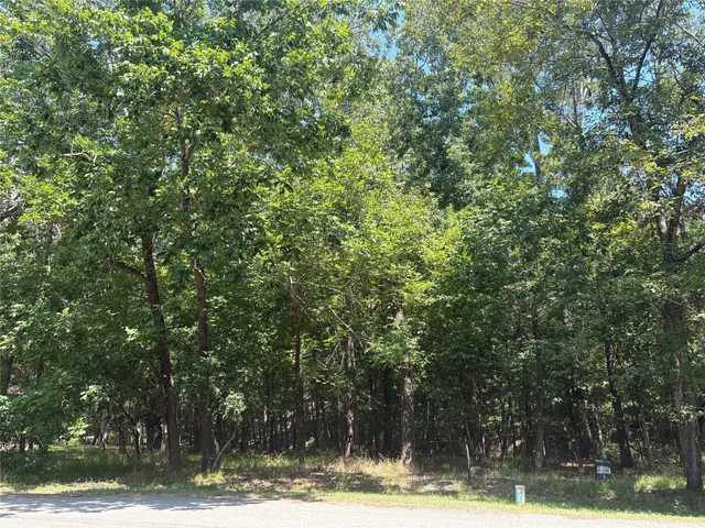 a view of a yard with plants