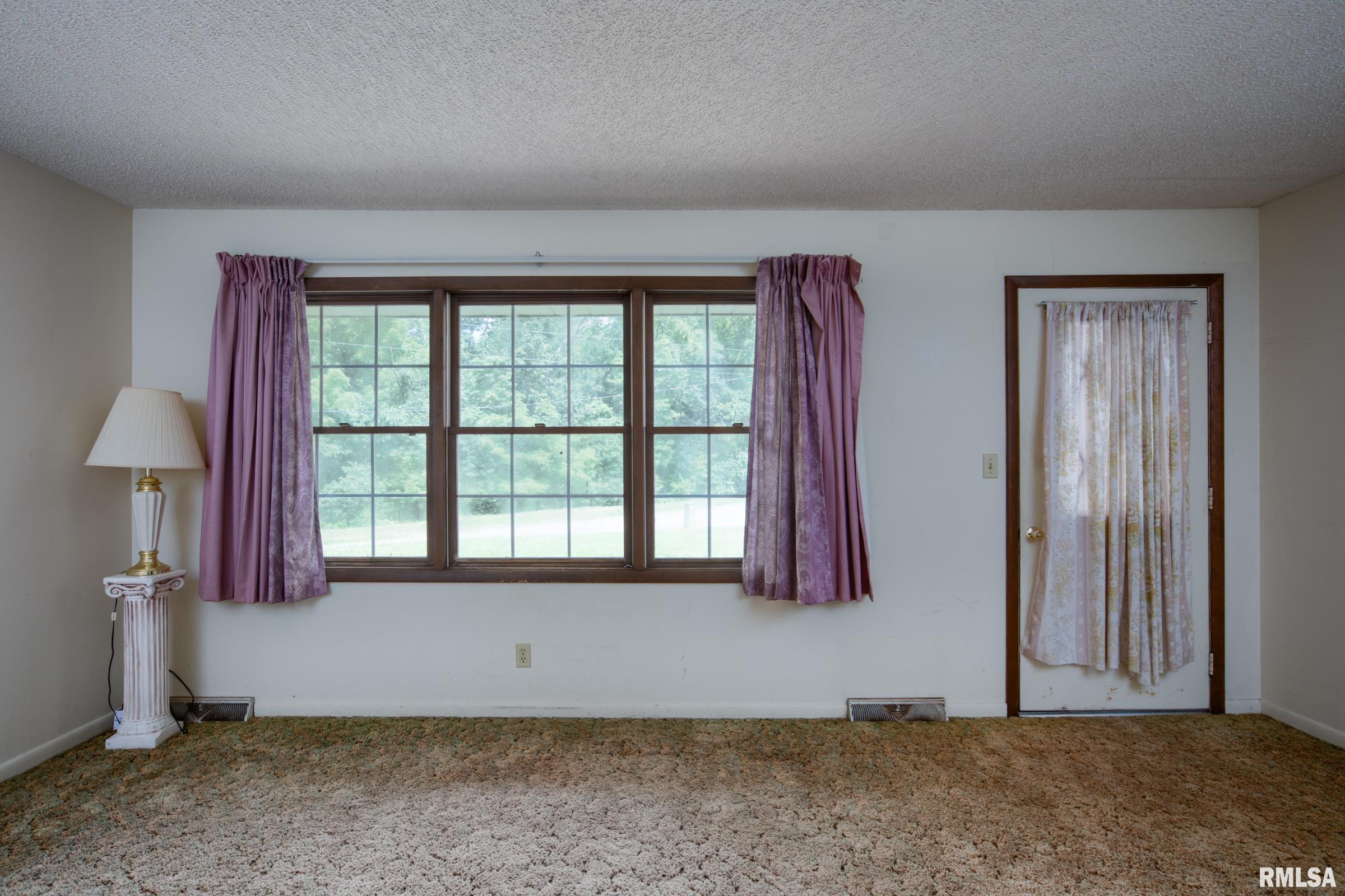 17209 Canaville Road Creal Springs, IL 62922 - Photo 7 of 35