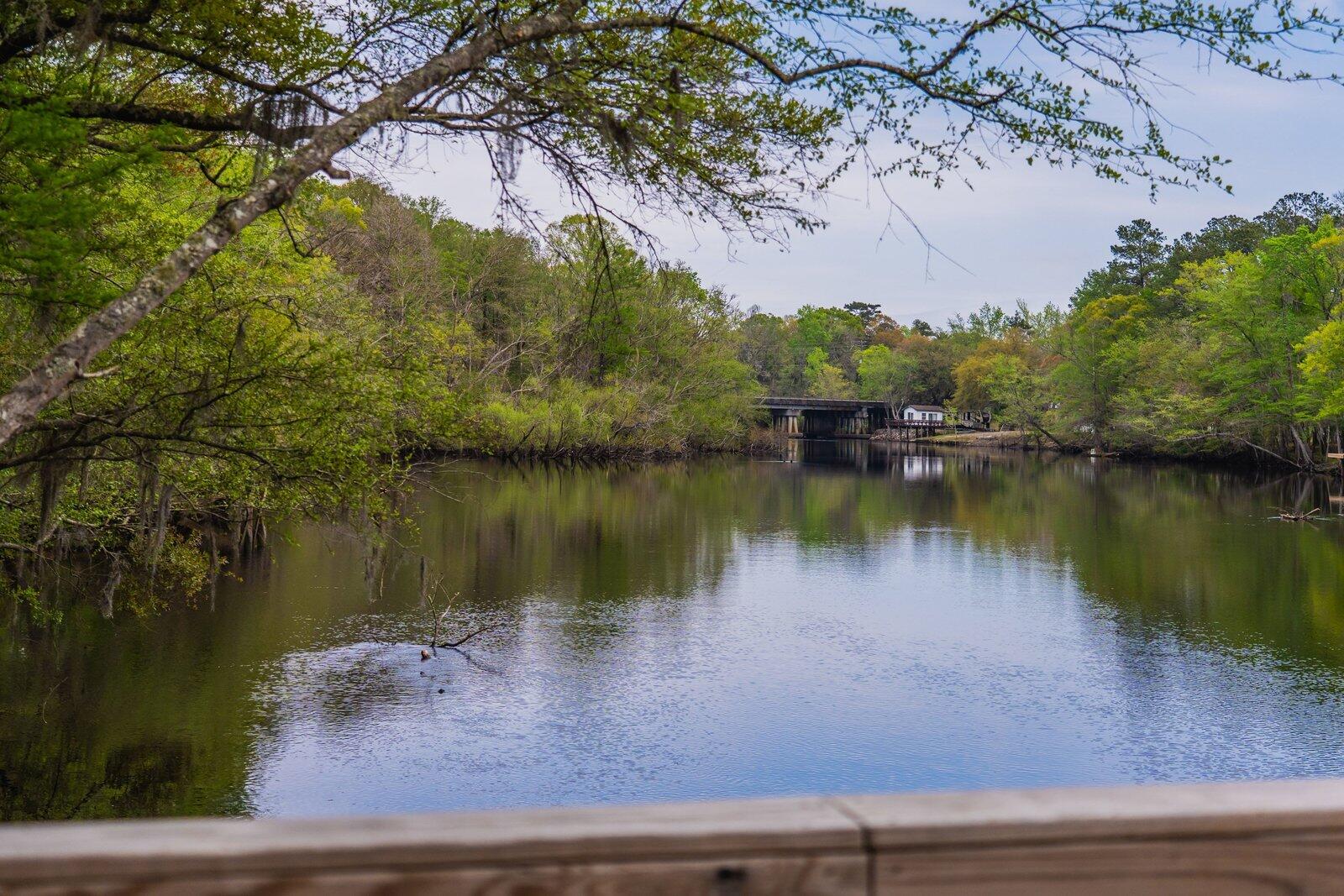 460 Trout Lane Ridgeville, SC 29472 - Photo 65 of 77 064_406_trout_lane-keen_eye_marketing-77
