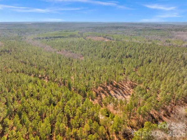 a view of a field with an ocean