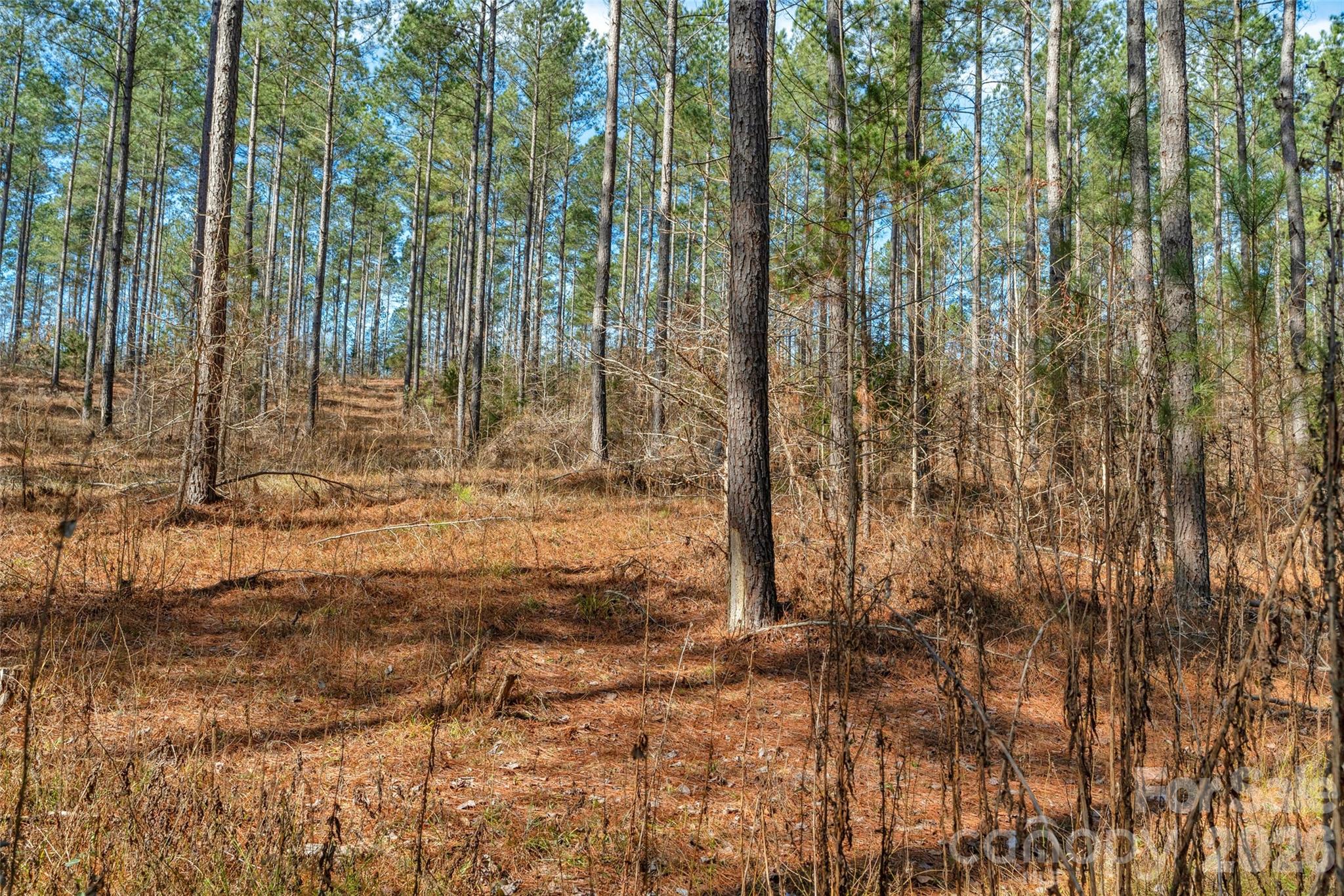 0 Peacehaven Road, Unit 2 McConnells, SC 29726 - Photo 11 of 46