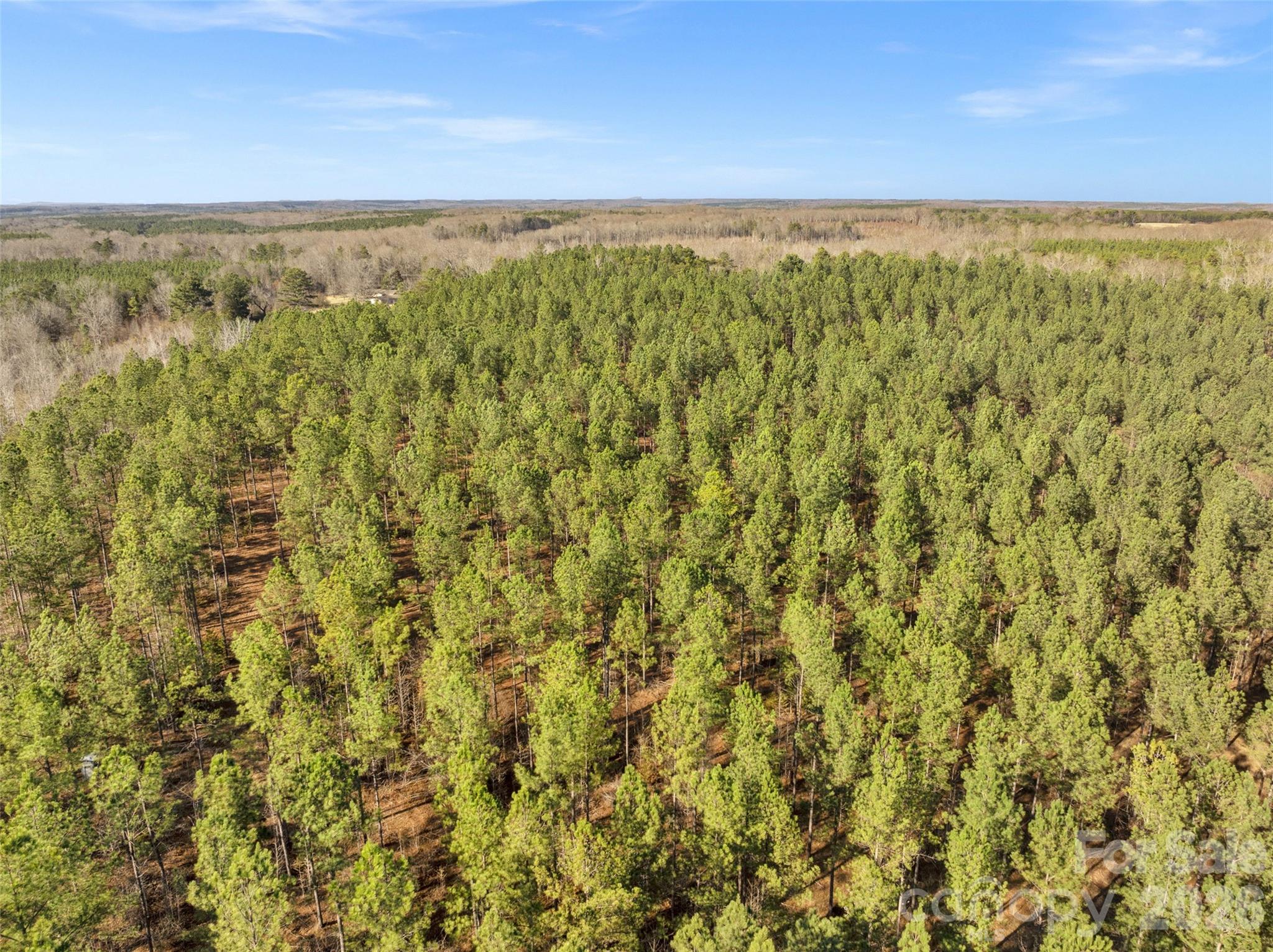 0 Peacehaven Road, Unit 2 McConnells, SC 29726 - Photo 12 of 46