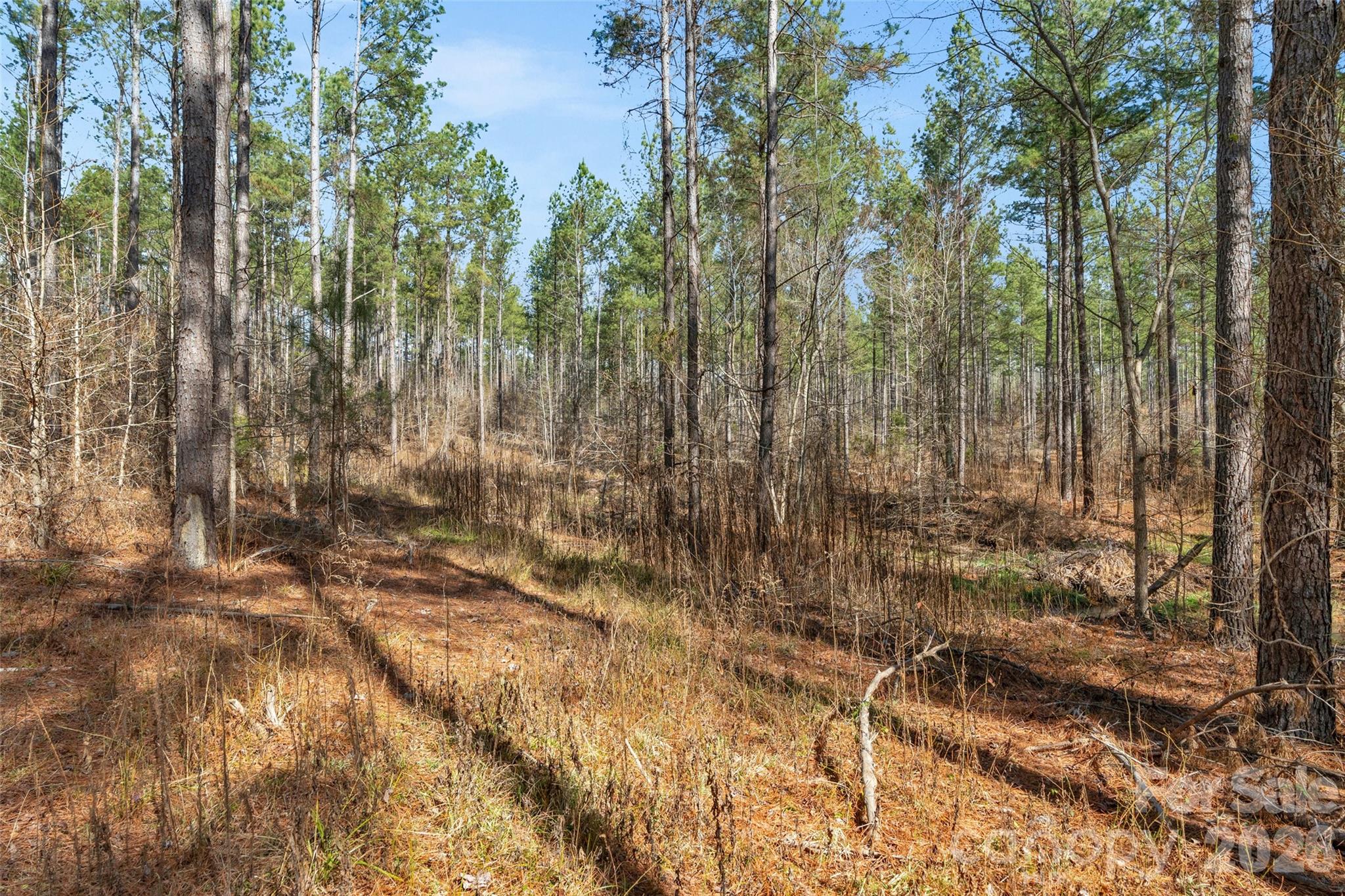 0 Peacehaven Road, Unit 2 McConnells, SC 29726 - Photo 13 of 46