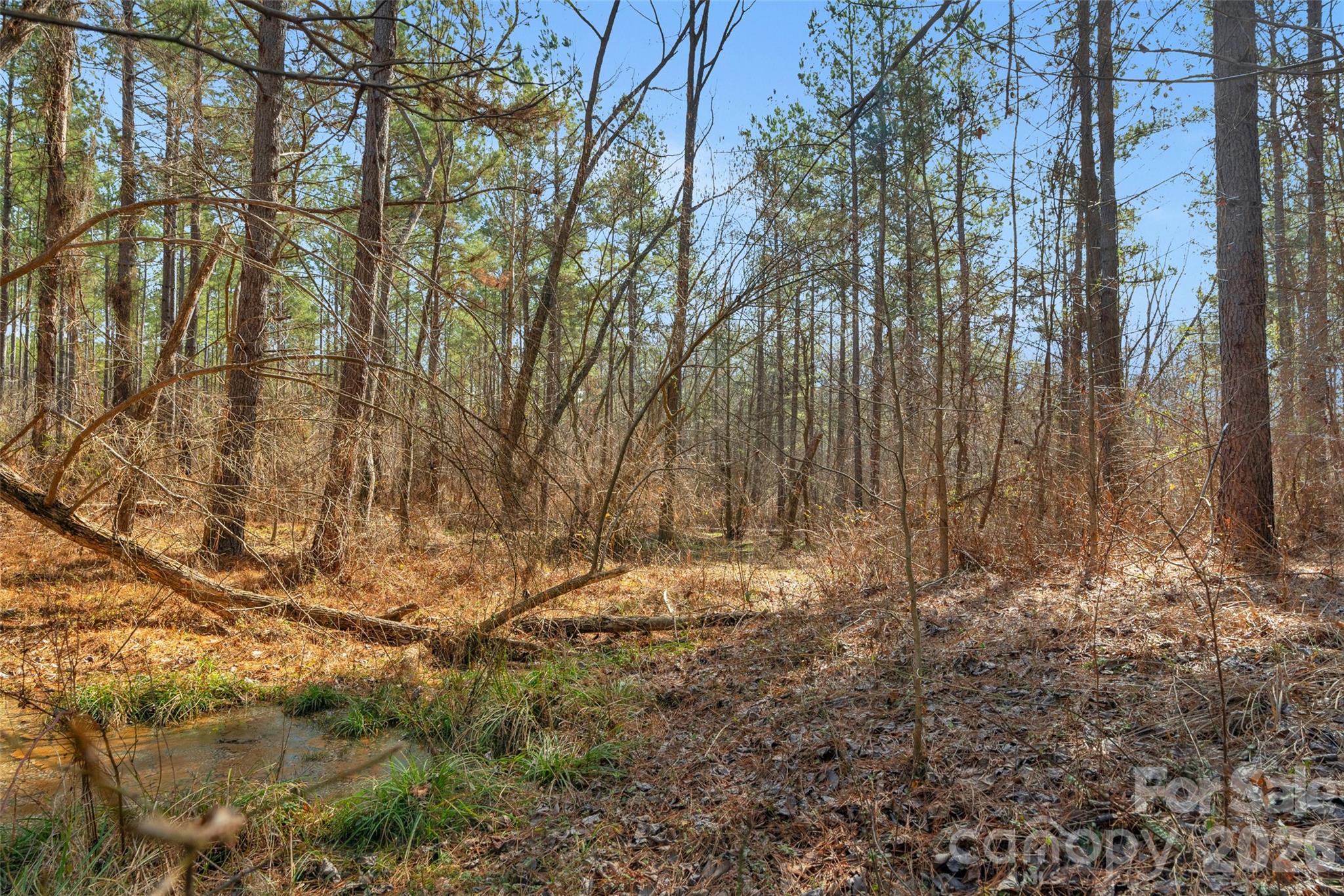 0 Peacehaven Road, Unit 2 McConnells, SC 29726 - Photo 14 of 46