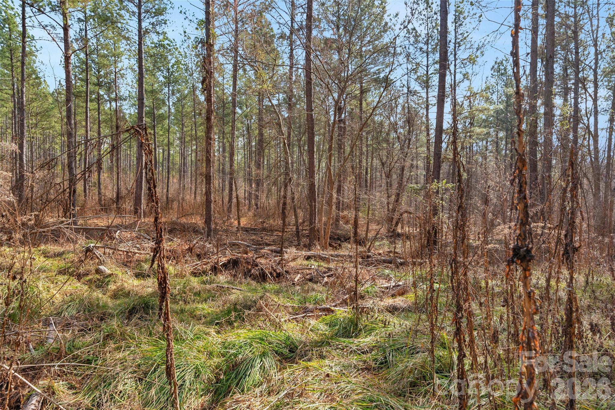 0 Peacehaven Road, Unit 2 McConnells, SC 29726 - Photo 15 of 46