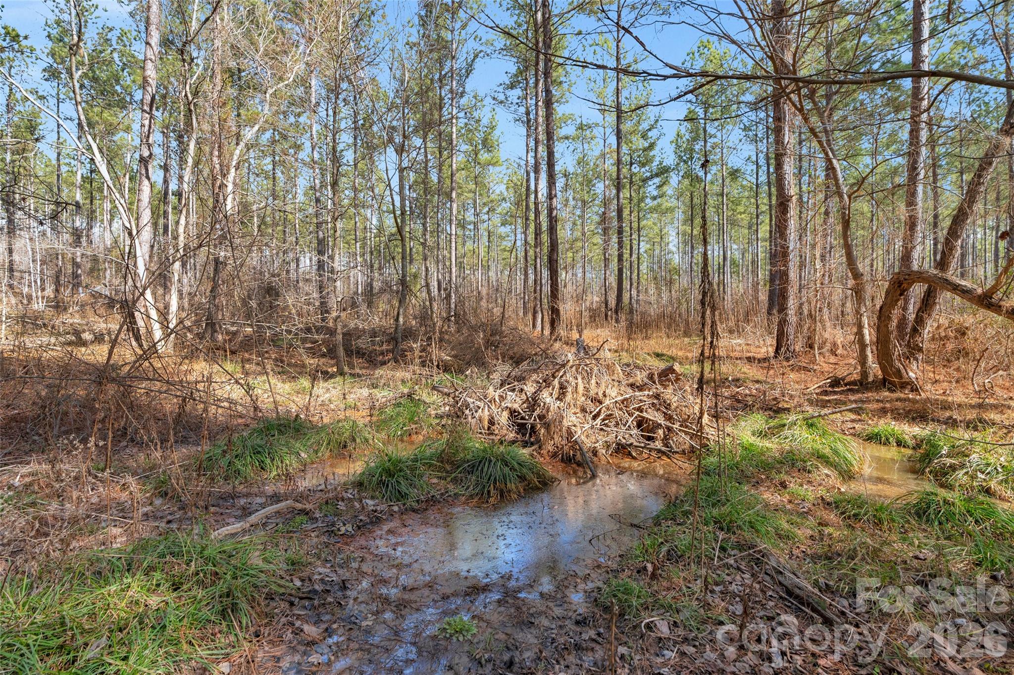 0 Peacehaven Road, Unit 2 McConnells, SC 29726 - Photo 16 of 46