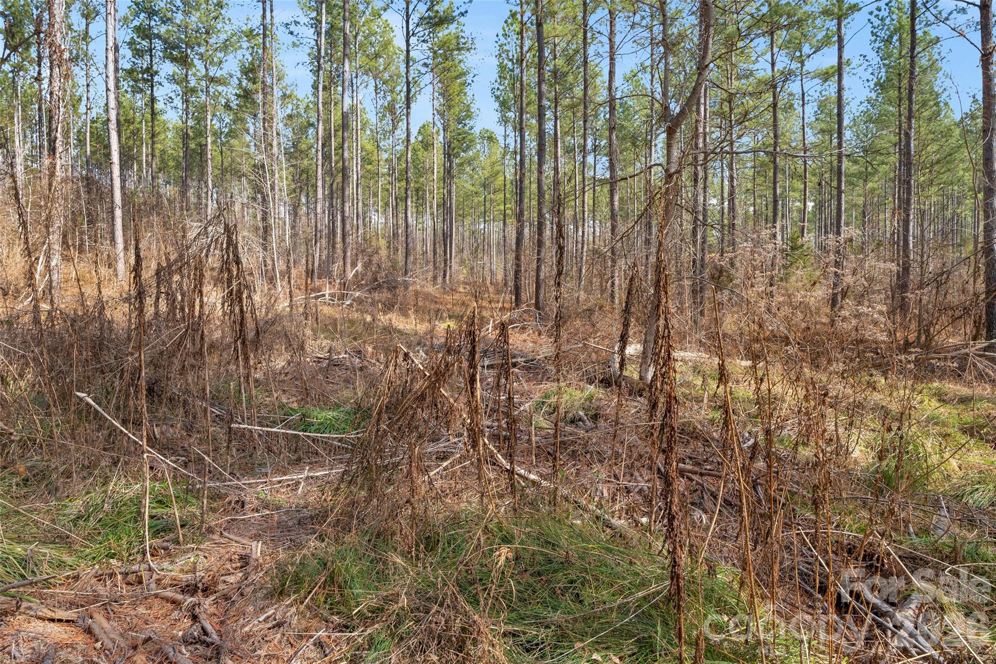 0 Peacehaven Road, Unit 2 McConnells, SC 29726 - Photo 17 of 46