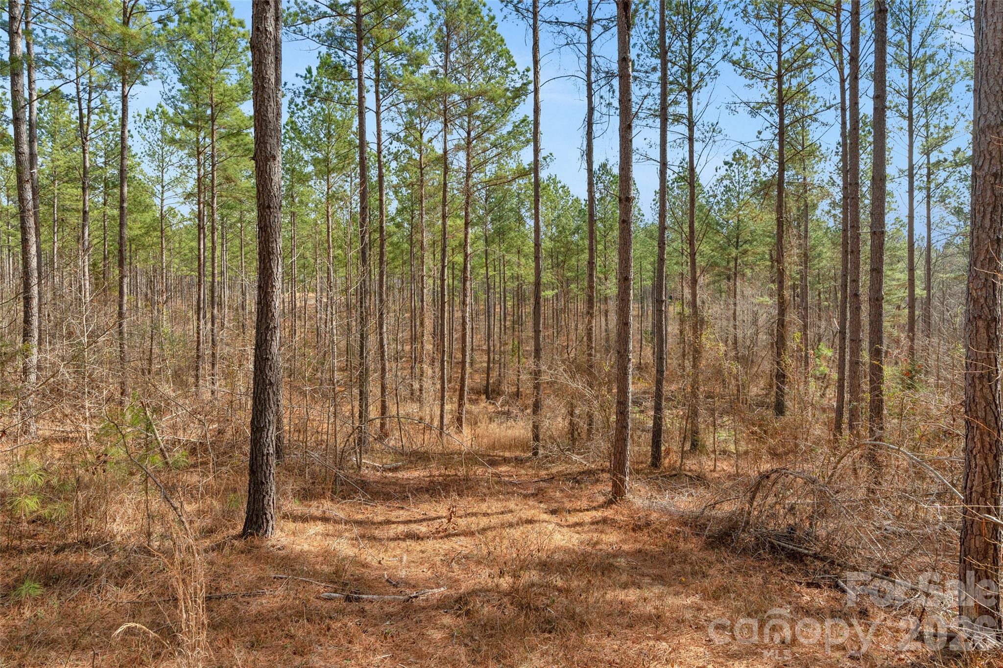 0 Peacehaven Road, Unit 2 McConnells, SC 29726 - Photo 18 of 46