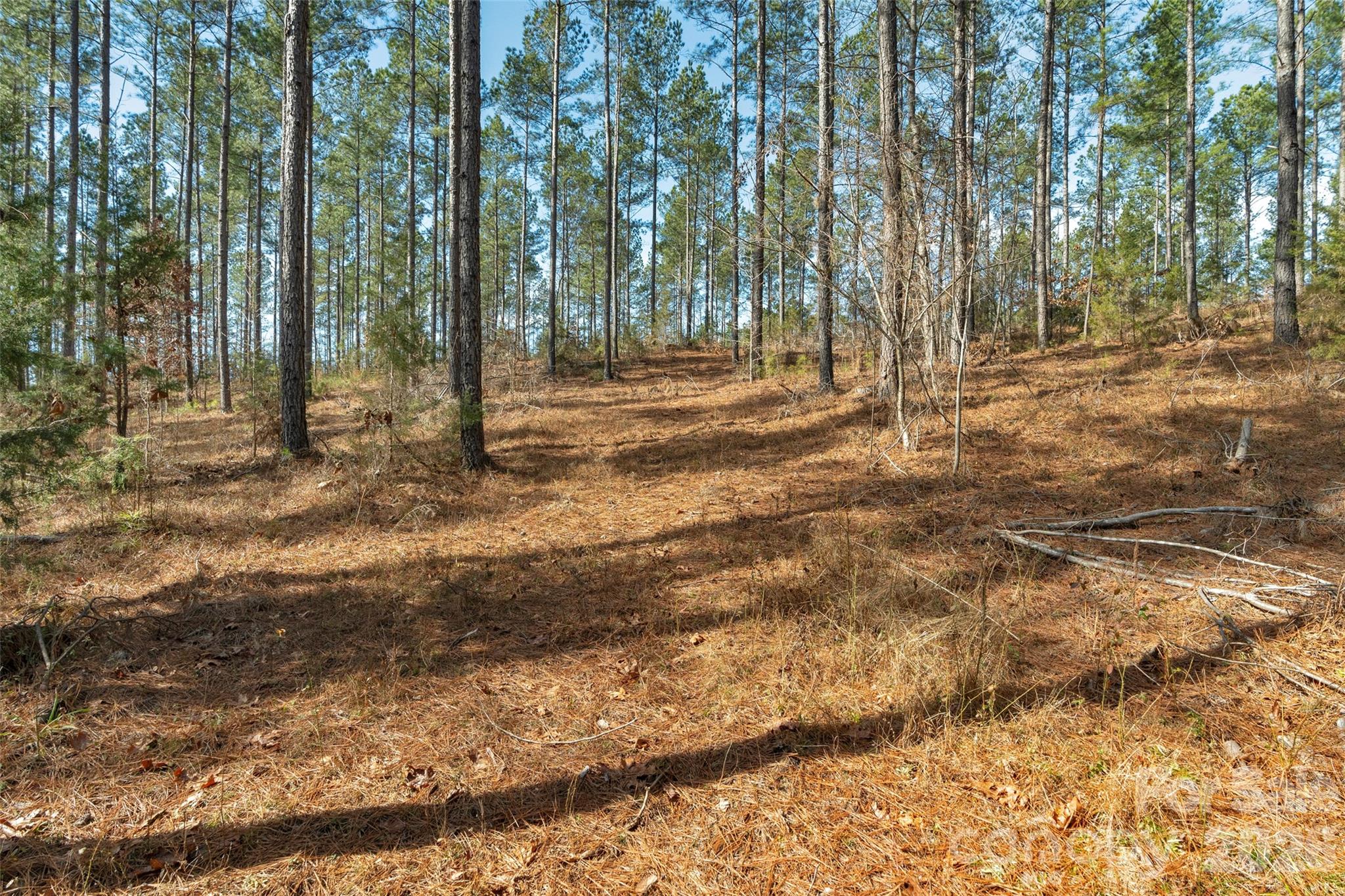 0 Peacehaven Road, Unit 2 McConnells, SC 29726 - Photo 19 of 46