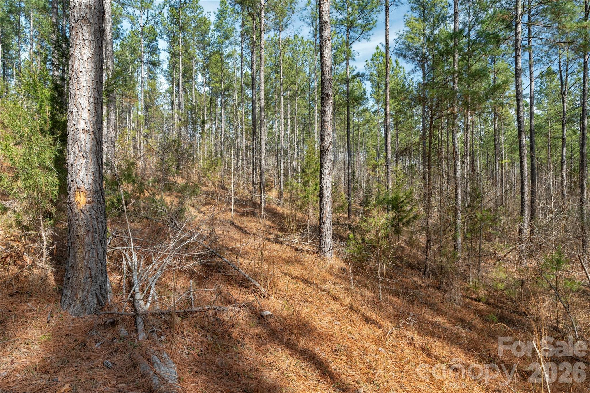 0 Peacehaven Road, Unit 2 McConnells, SC 29726 - Photo 20 of 46