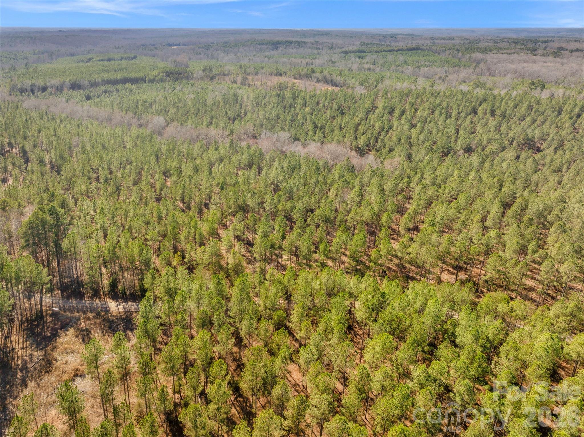 0 Peacehaven Road, Unit 2 McConnells, SC 29726 - Photo 2 of 46