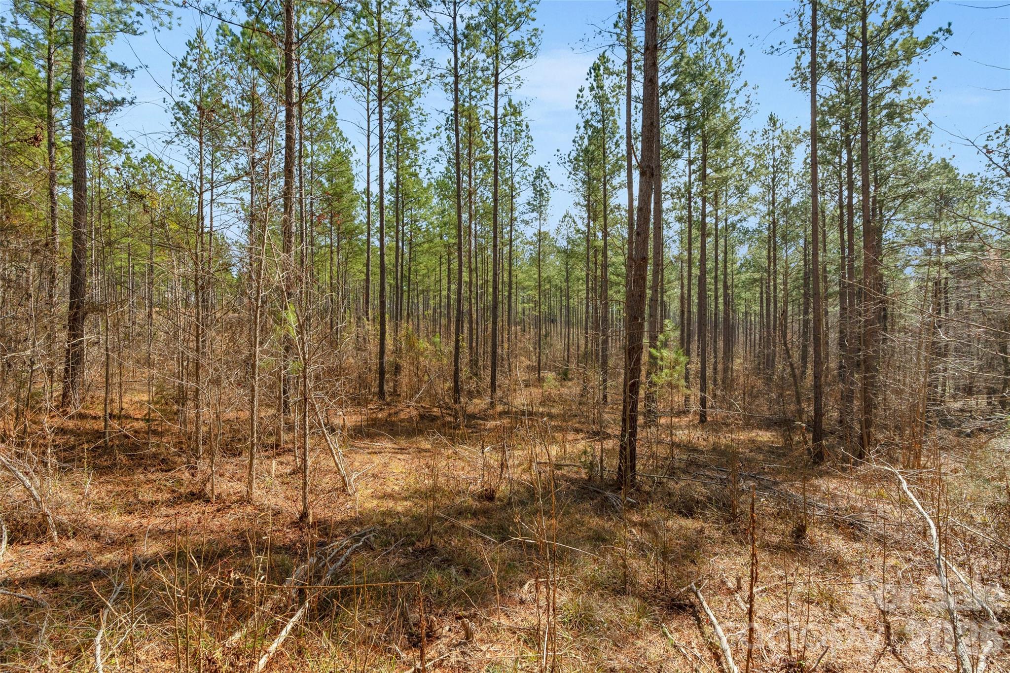 0 Peacehaven Road, Unit 2 McConnells, SC 29726 - Photo 21 of 46