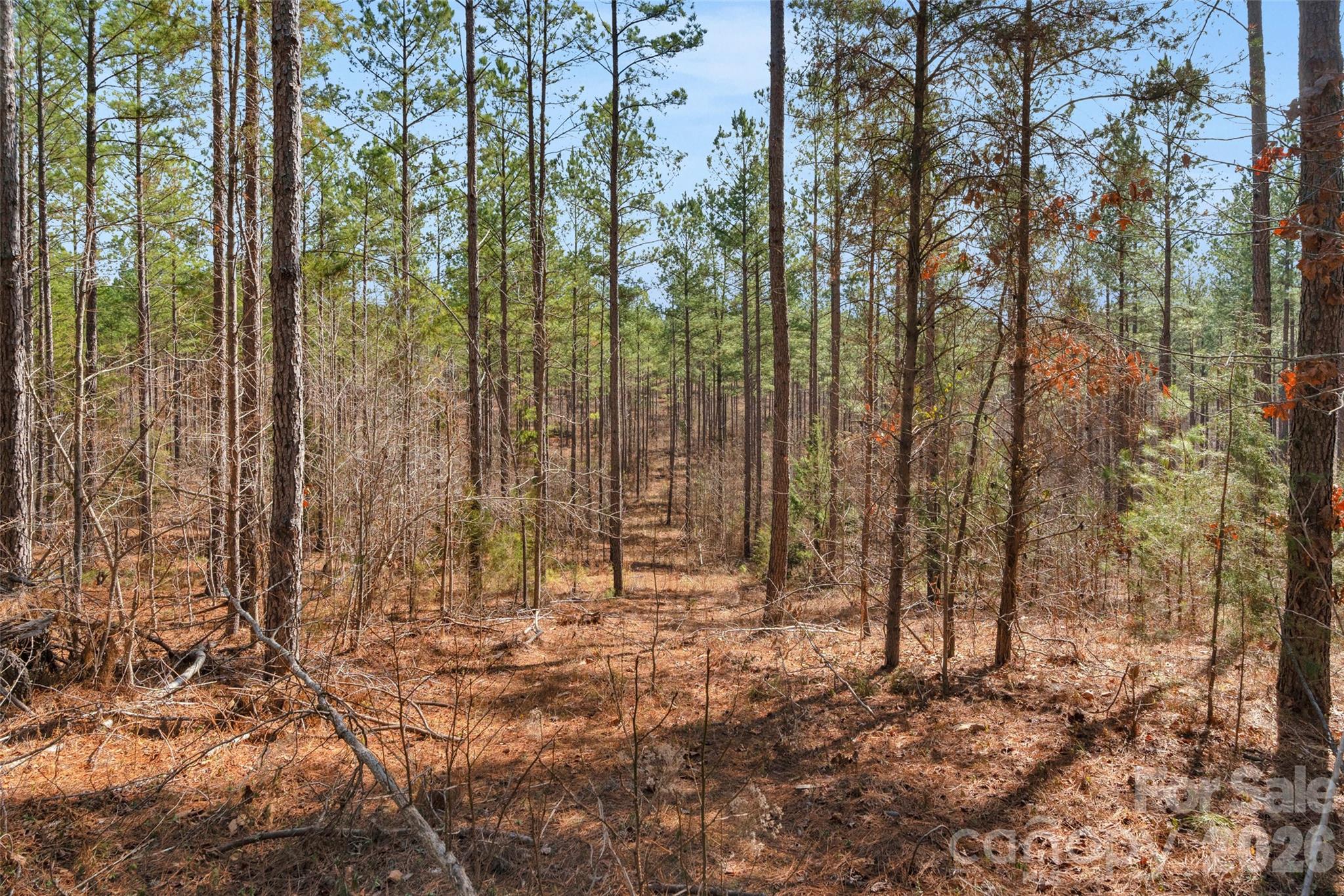 0 Peacehaven Road, Unit 2 McConnells, SC 29726 - Photo 22 of 46