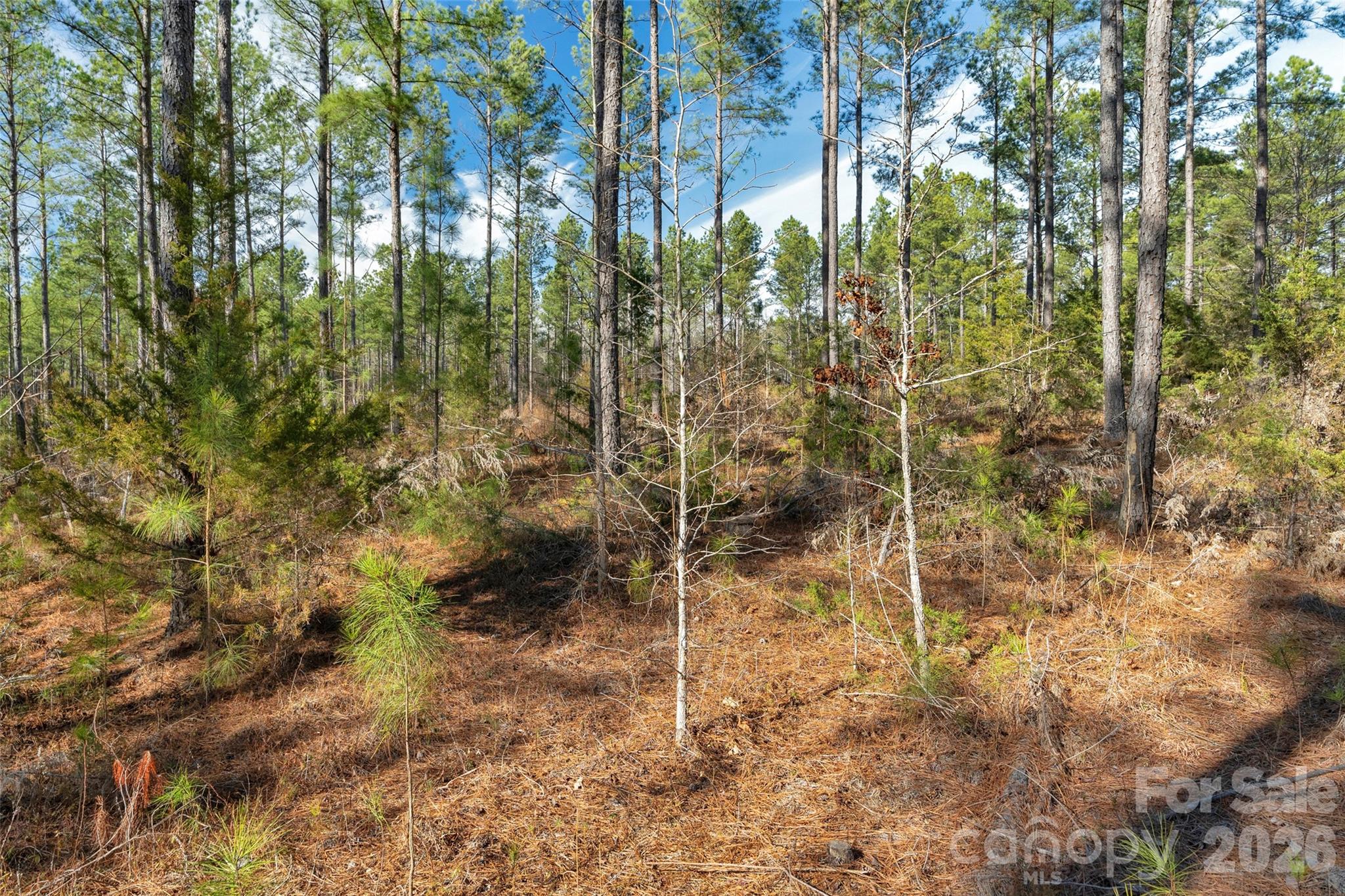 0 Peacehaven Road, Unit 2 McConnells, SC 29726 - Photo 23 of 46