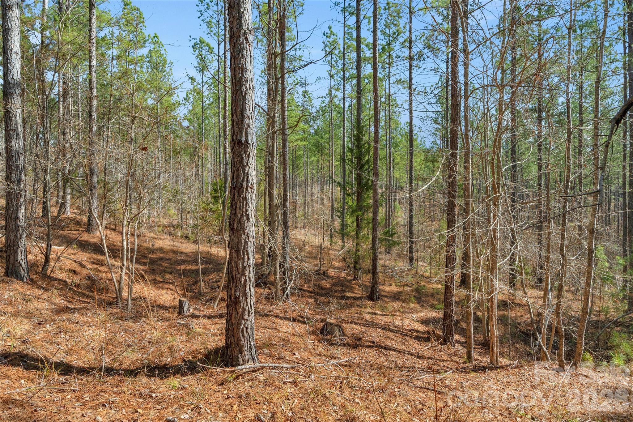 0 Peacehaven Road, Unit 2 McConnells, SC 29726 - Photo 24 of 46