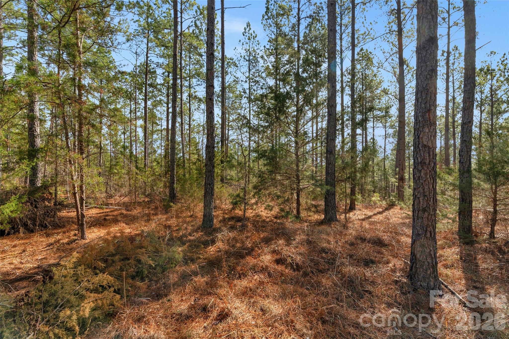 0 Peacehaven Road, Unit 2 McConnells, SC 29726 - Photo 25 of 46