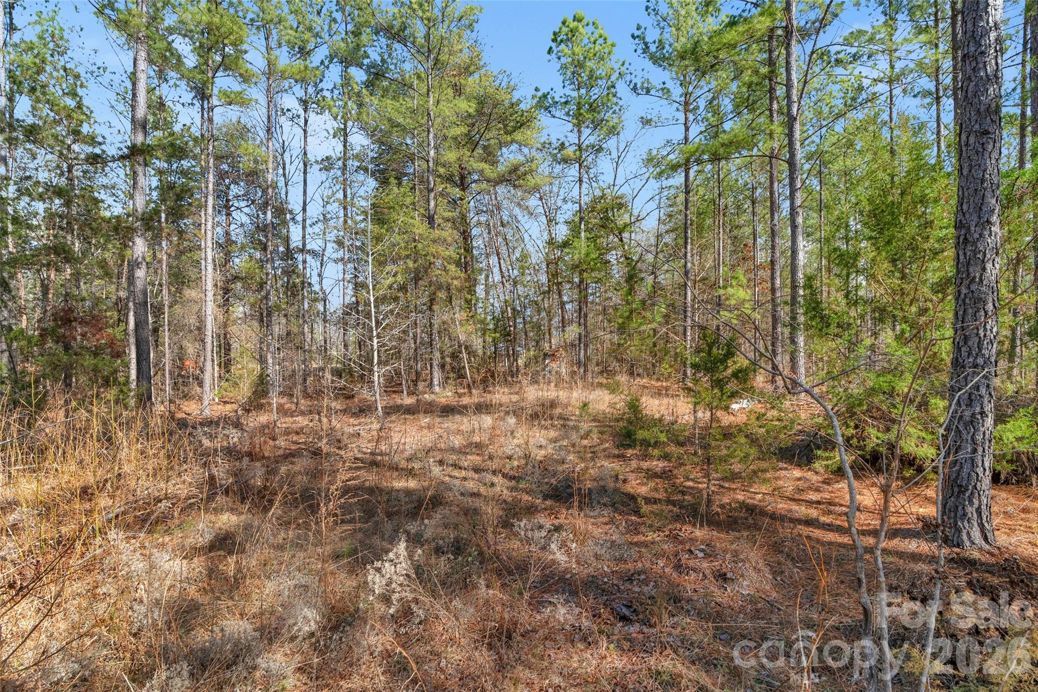 0 Peacehaven Road, Unit 2 McConnells, SC 29726 - Photo 26 of 46