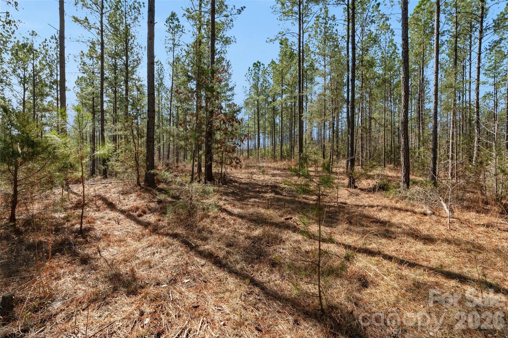 0 Peacehaven Road, Unit 2 McConnells, SC 29726 - Photo 27 of 46