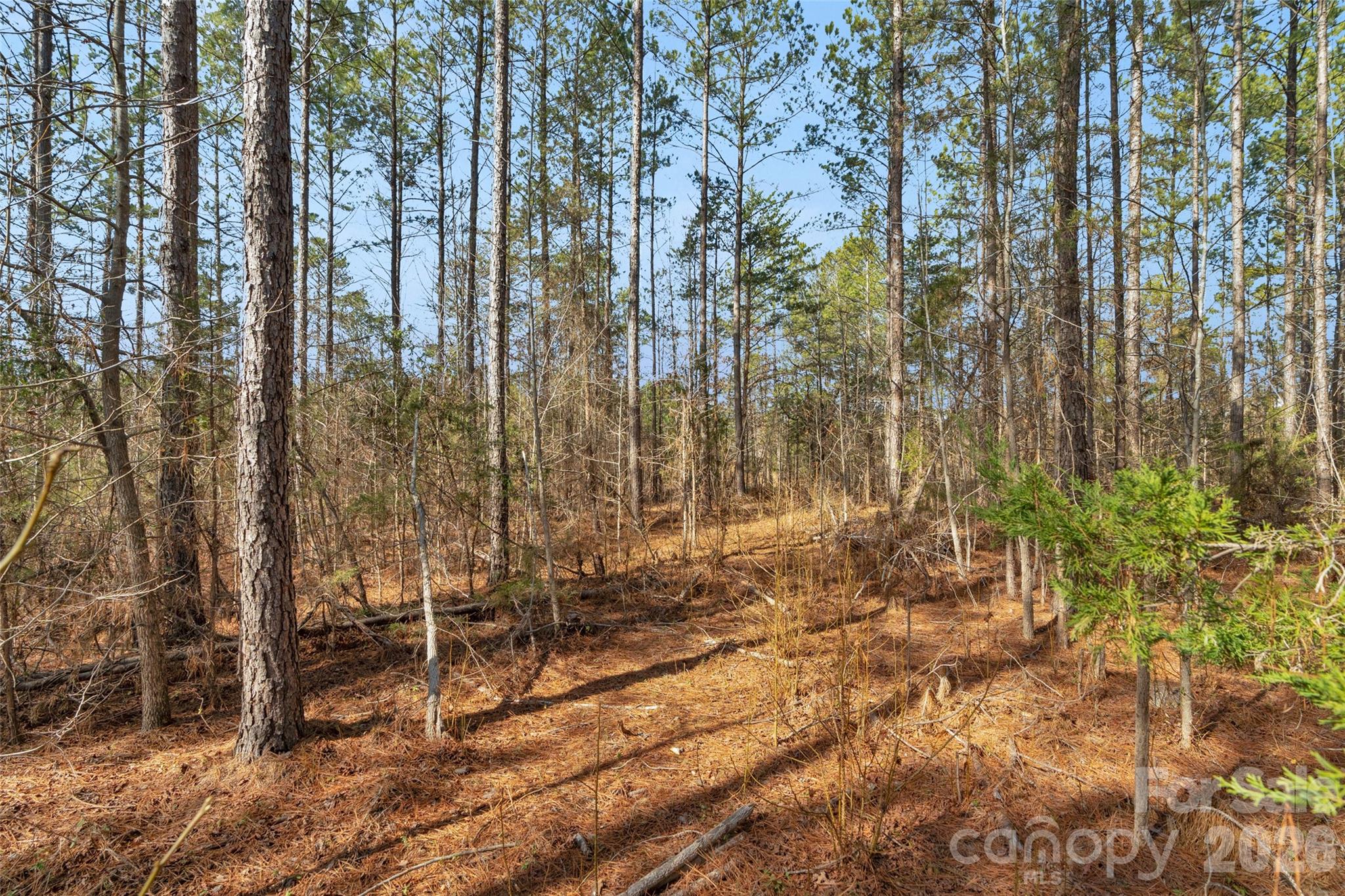 0 Peacehaven Road, Unit 2 McConnells, SC 29726 - Photo 28 of 46