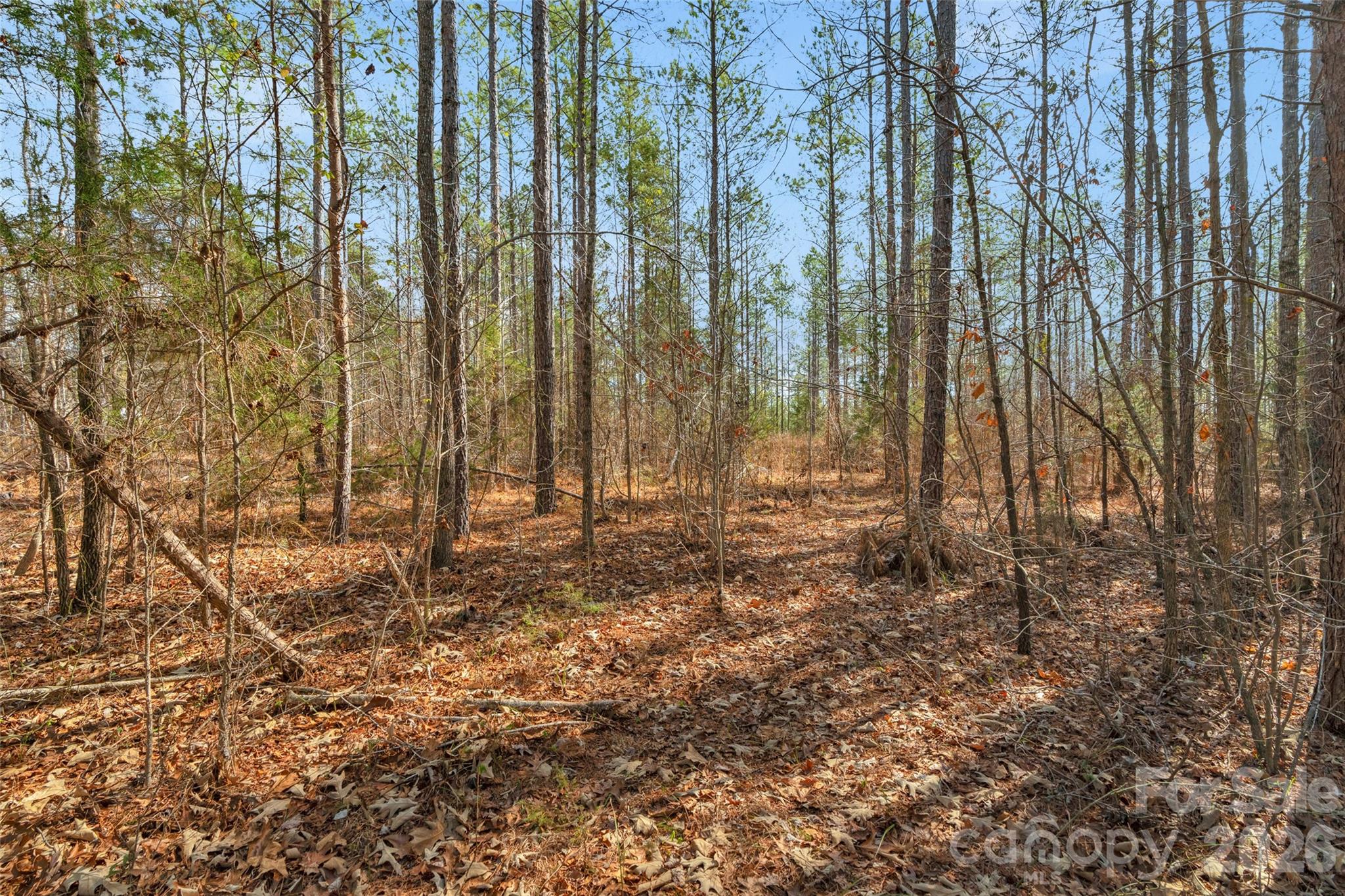 0 Peacehaven Road, Unit 2 McConnells, SC 29726 - Photo 29 of 46