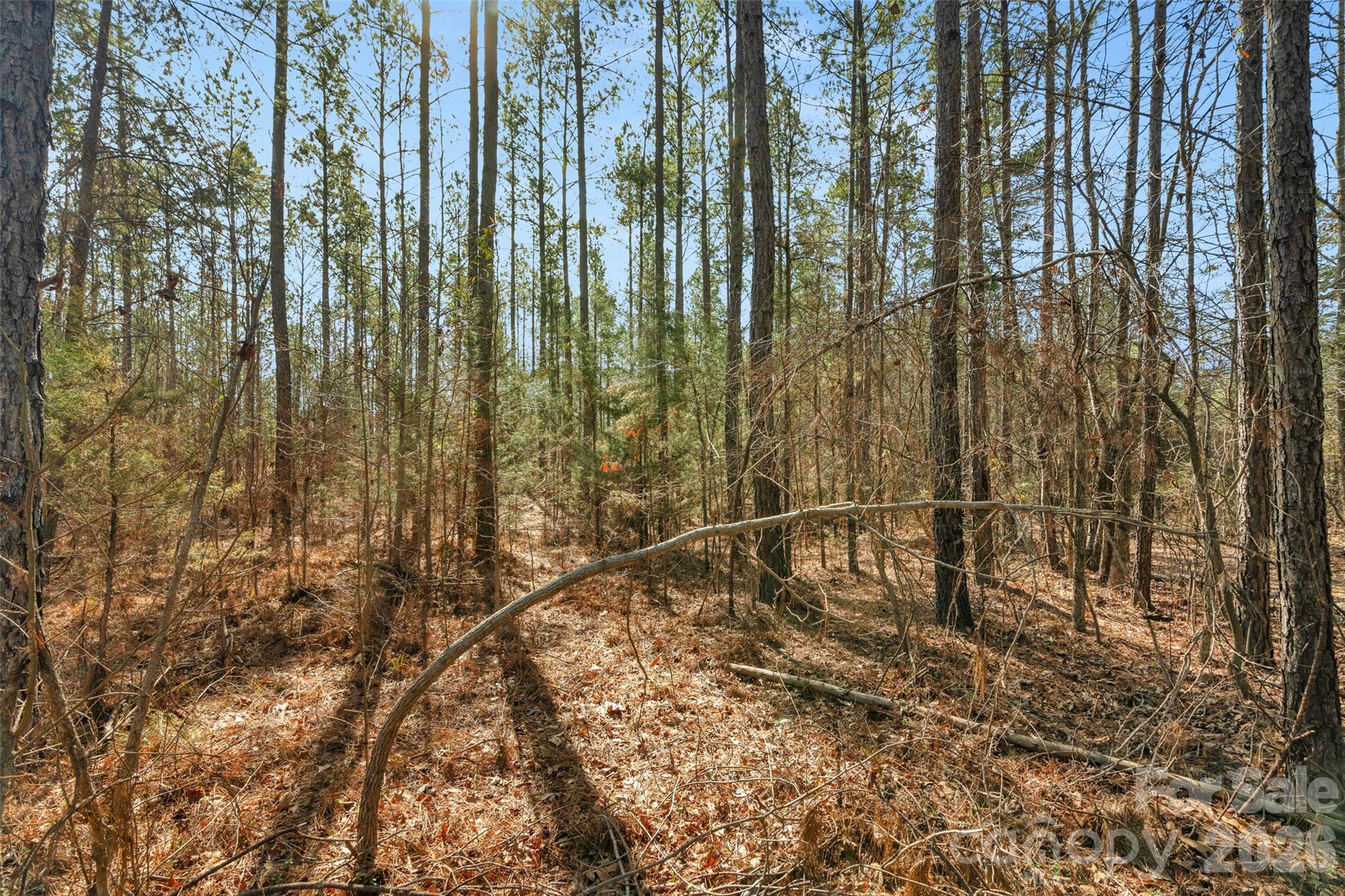 0 Peacehaven Road, Unit 2 McConnells, SC 29726 - Photo 30 of 46