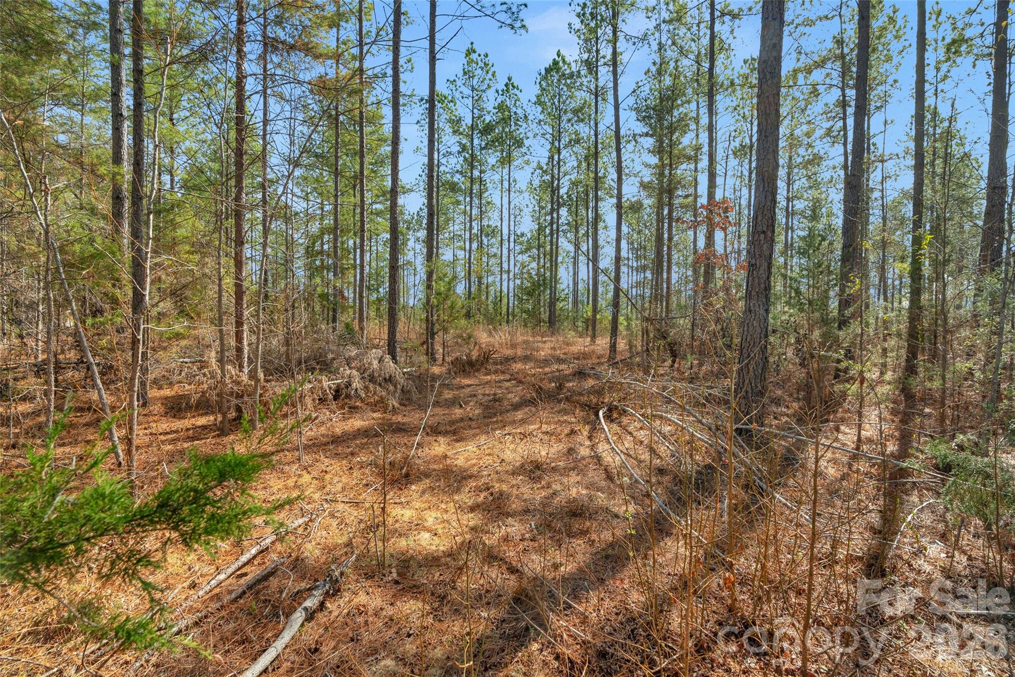 0 Peacehaven Road, Unit 2 McConnells, SC 29726 - Photo 31 of 46