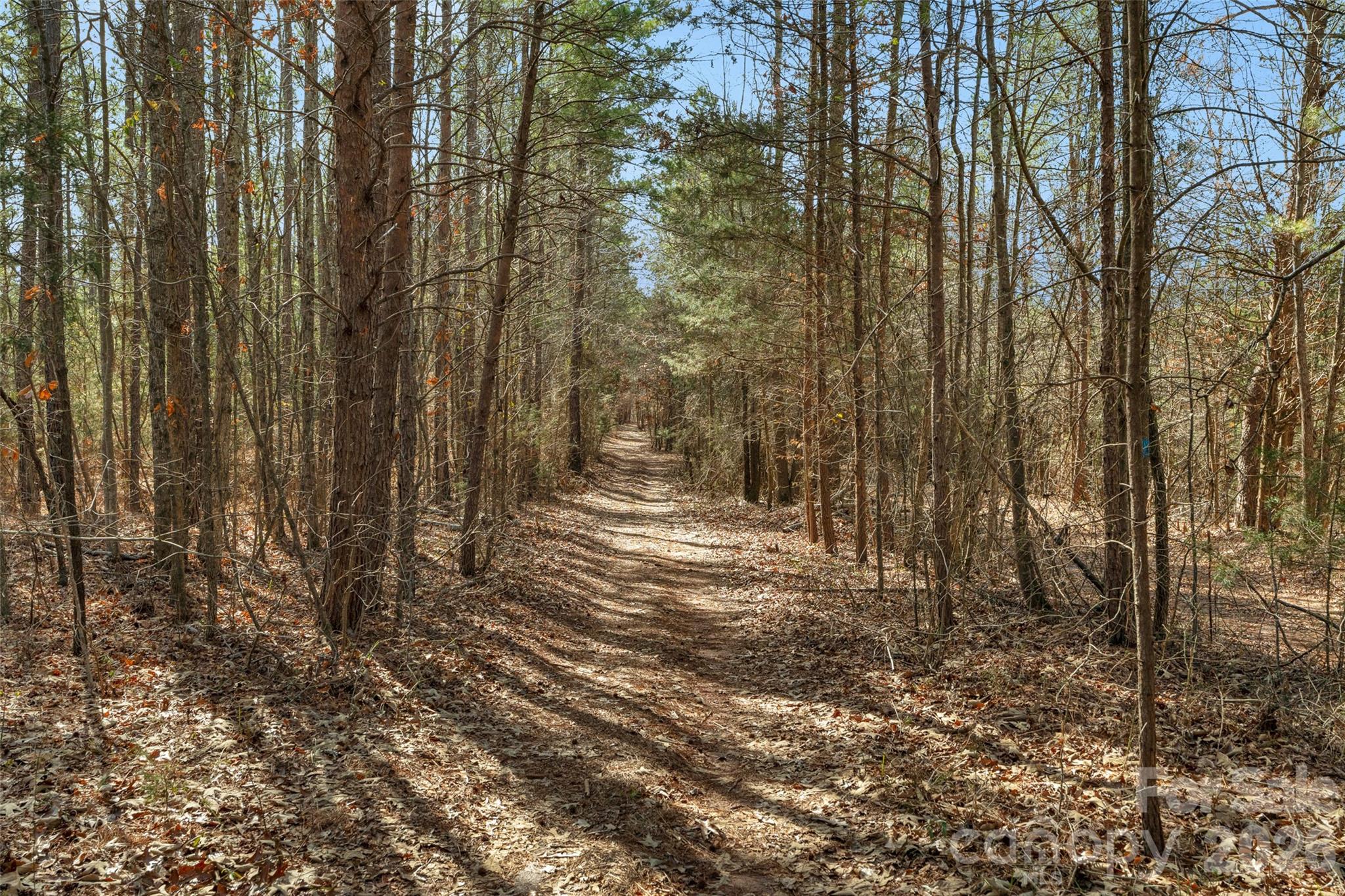 0 Peacehaven Road, Unit 2 McConnells, SC 29726 - Photo 32 of 46