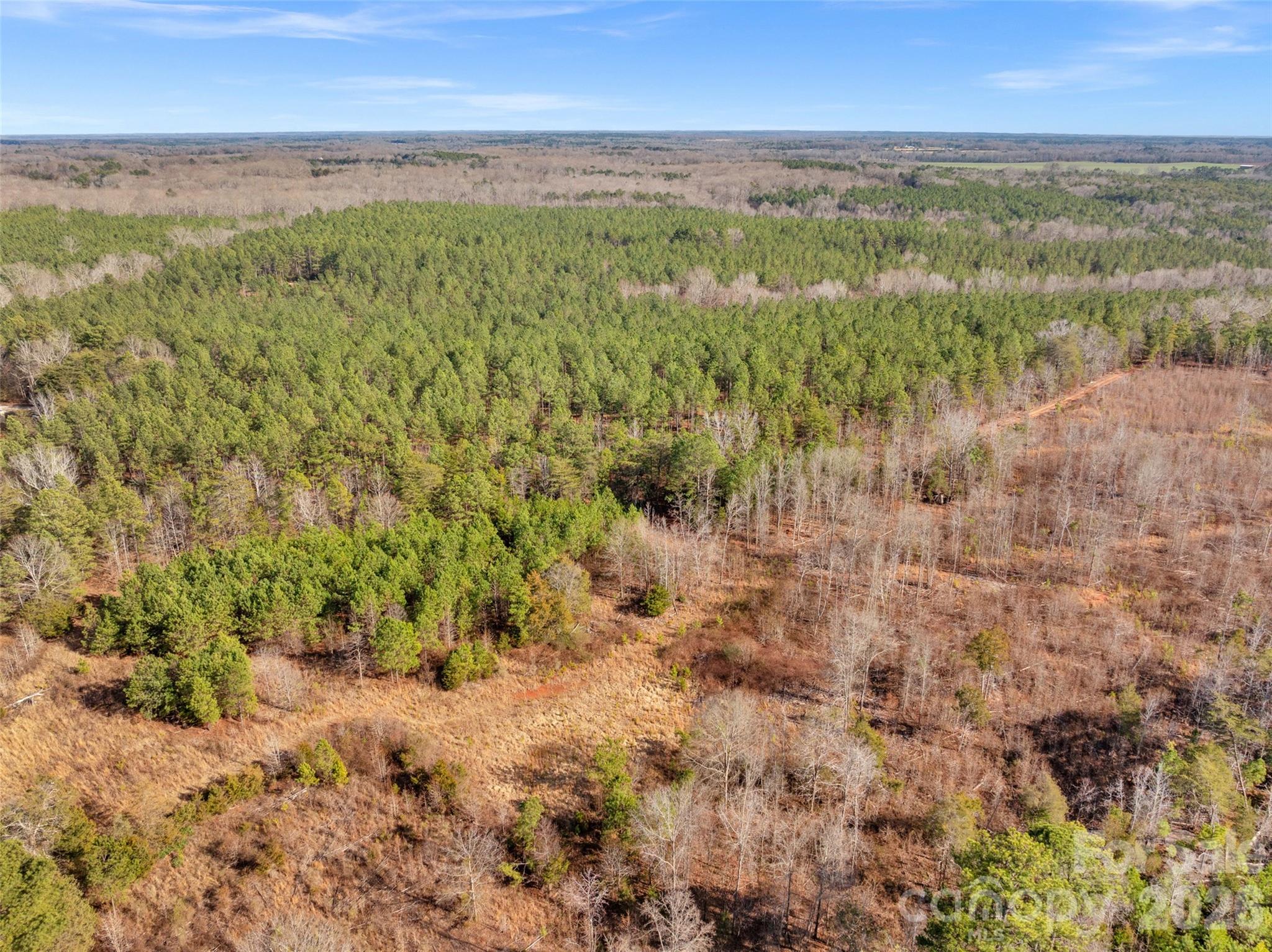 0 Peacehaven Road, Unit 2 McConnells, SC 29726 - Photo 34 of 46