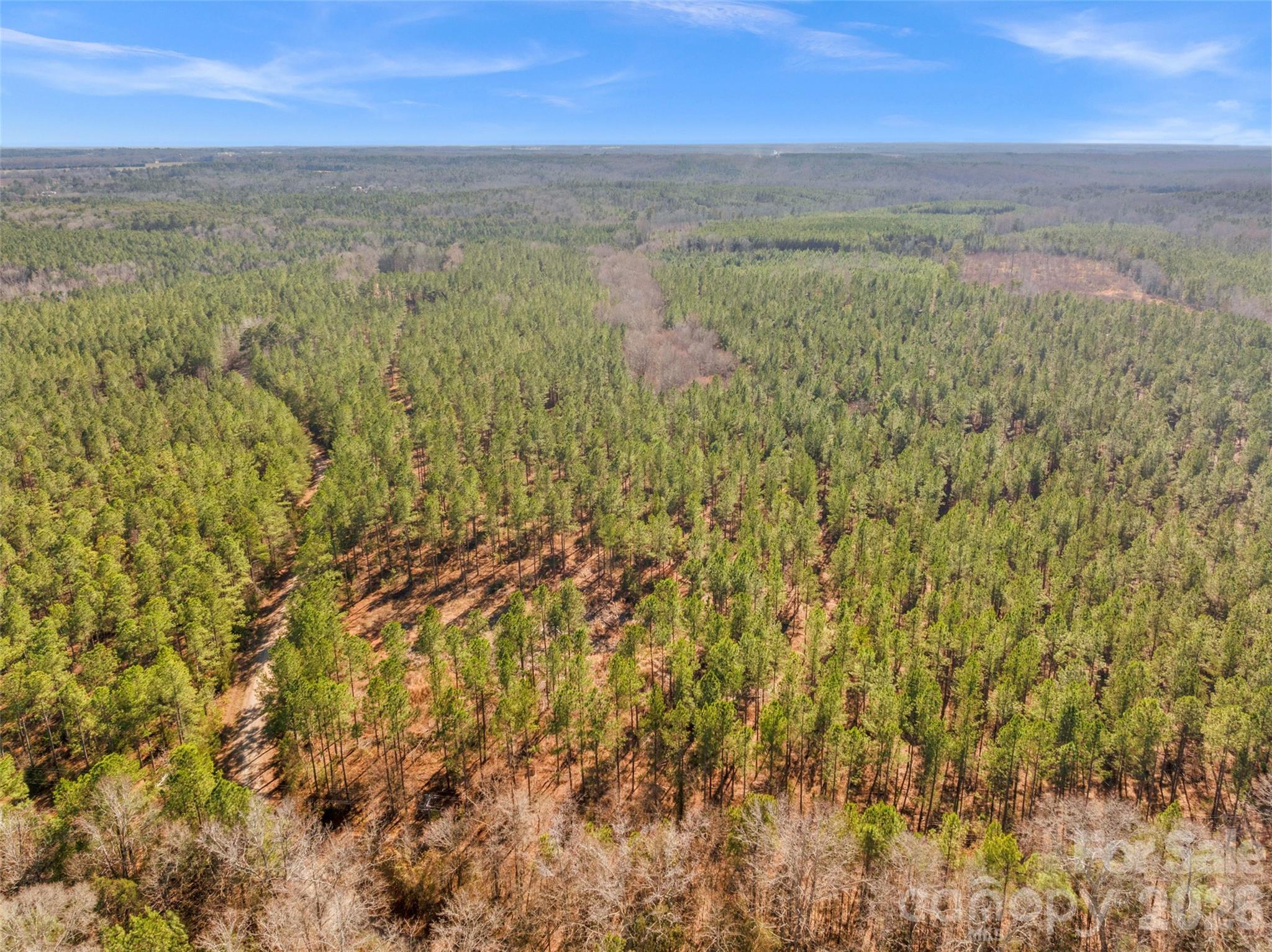 0 Peacehaven Road, Unit 2 McConnells, SC 29726 - Photo 35 of 46