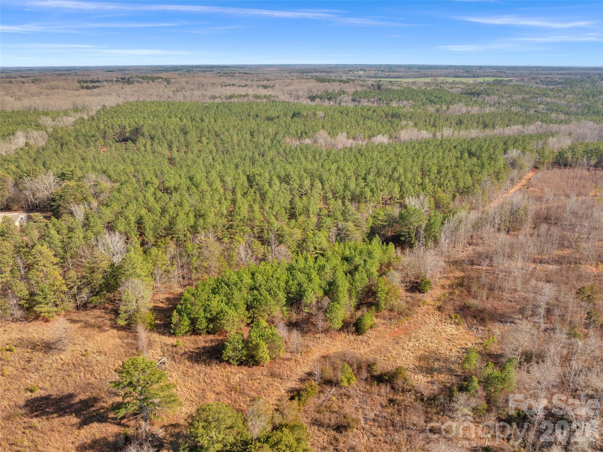 0 Peacehaven Road, Unit 2 McConnells, SC 29726 - Photo 36 of 46