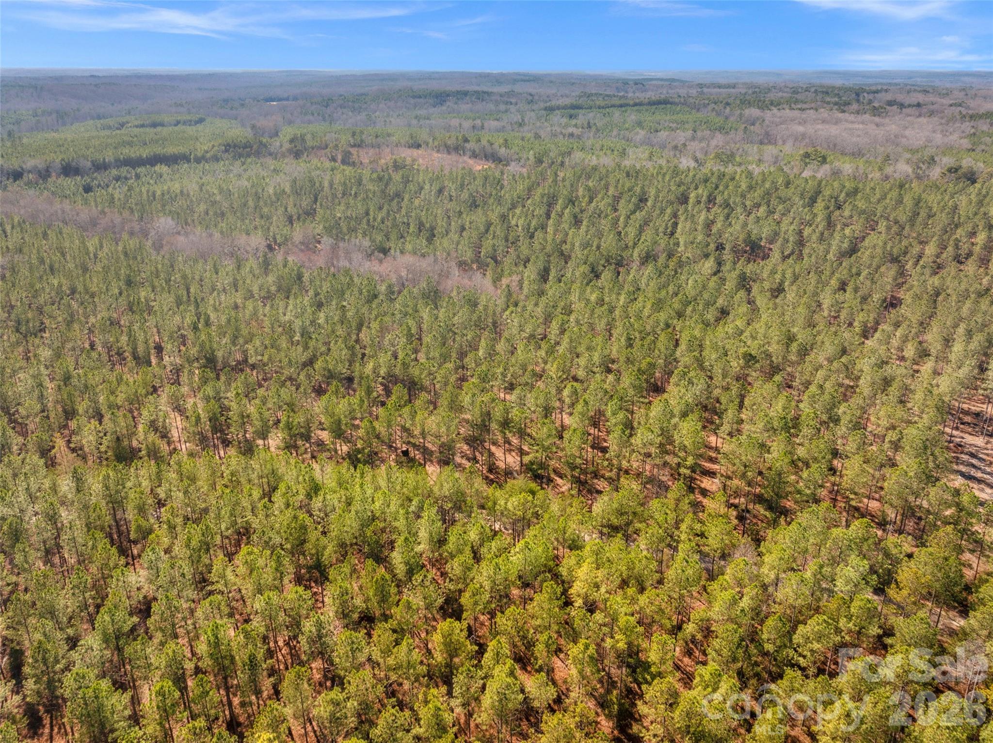 0 Peacehaven Road, Unit 2 McConnells, SC 29726 - Photo 37 of 46